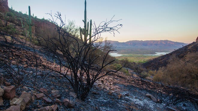 Woodbury Fire Breaches 40 000 Acre Mark But No Evacuations Planned