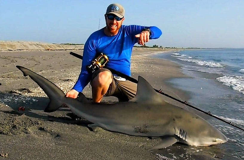 New laws in effect July 1 for catch and release shark fishing from shore