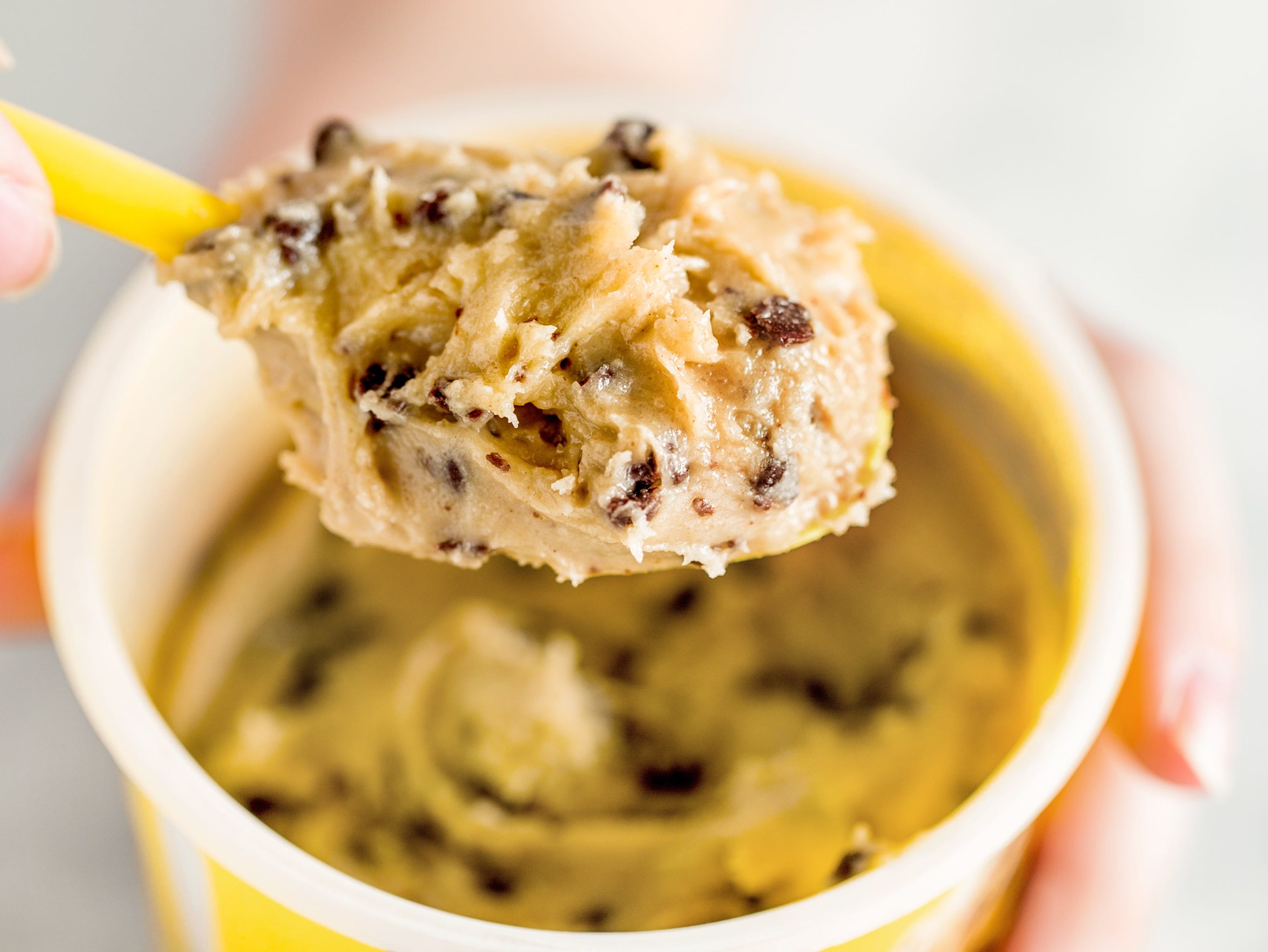 dog ate cookie dough