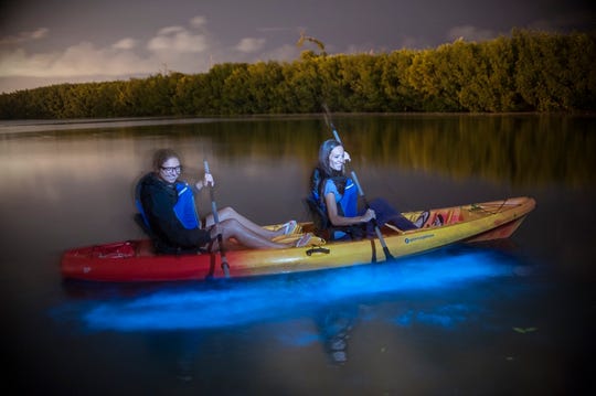Bioluminescent Tours