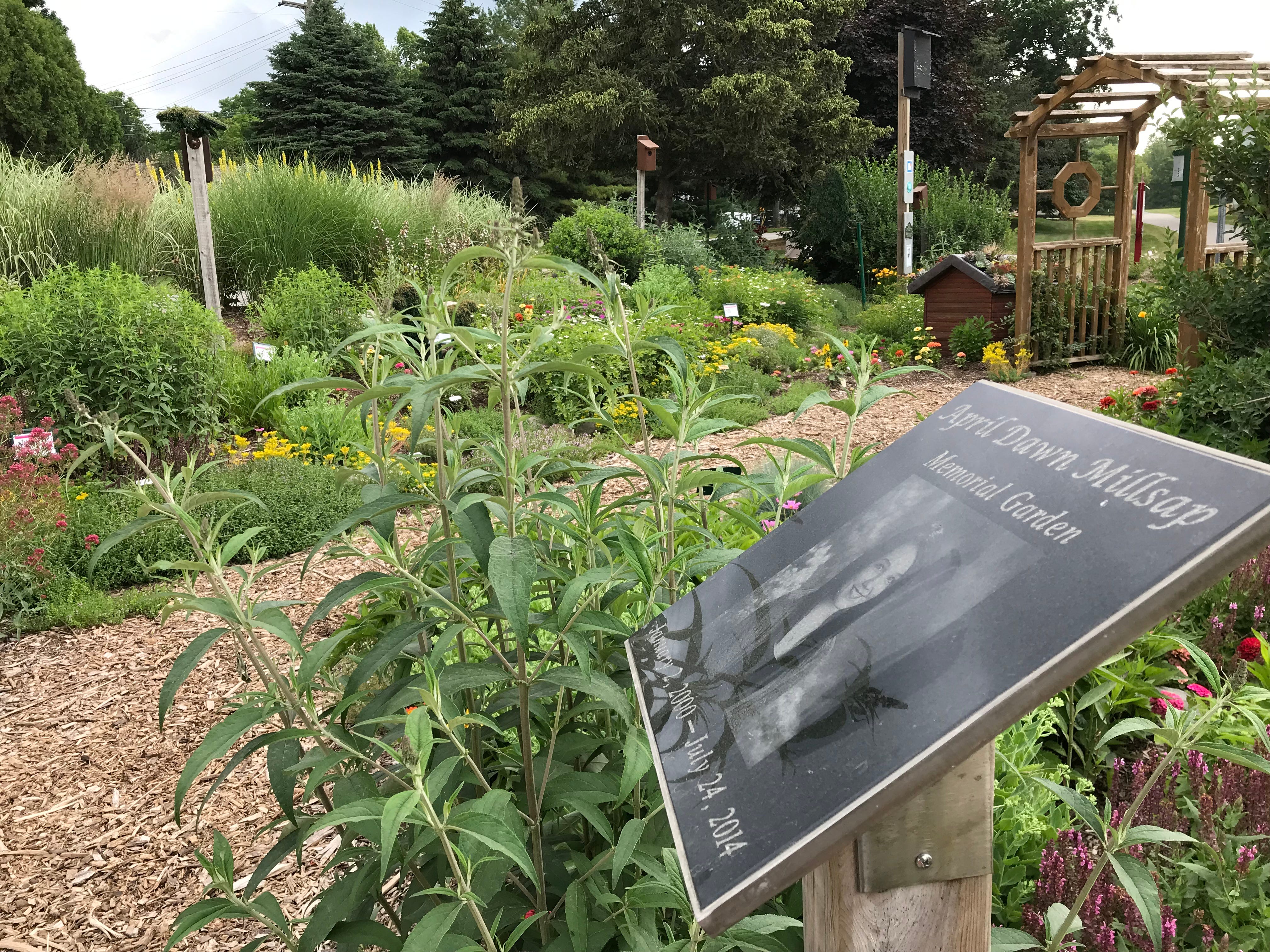 Armada, Michigan hopes to be designated nation's nicest place