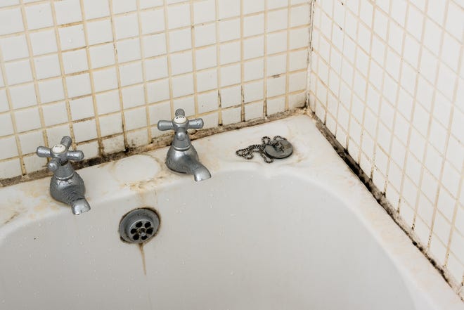 Check hidden areas, such as under sinks, around exhaust fans, even in crawl spaces and basements underneath bathrooms.