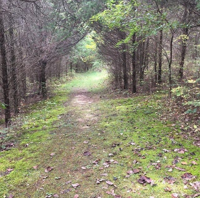 Louisville places to hike 5 best hiking trails within 50 miles