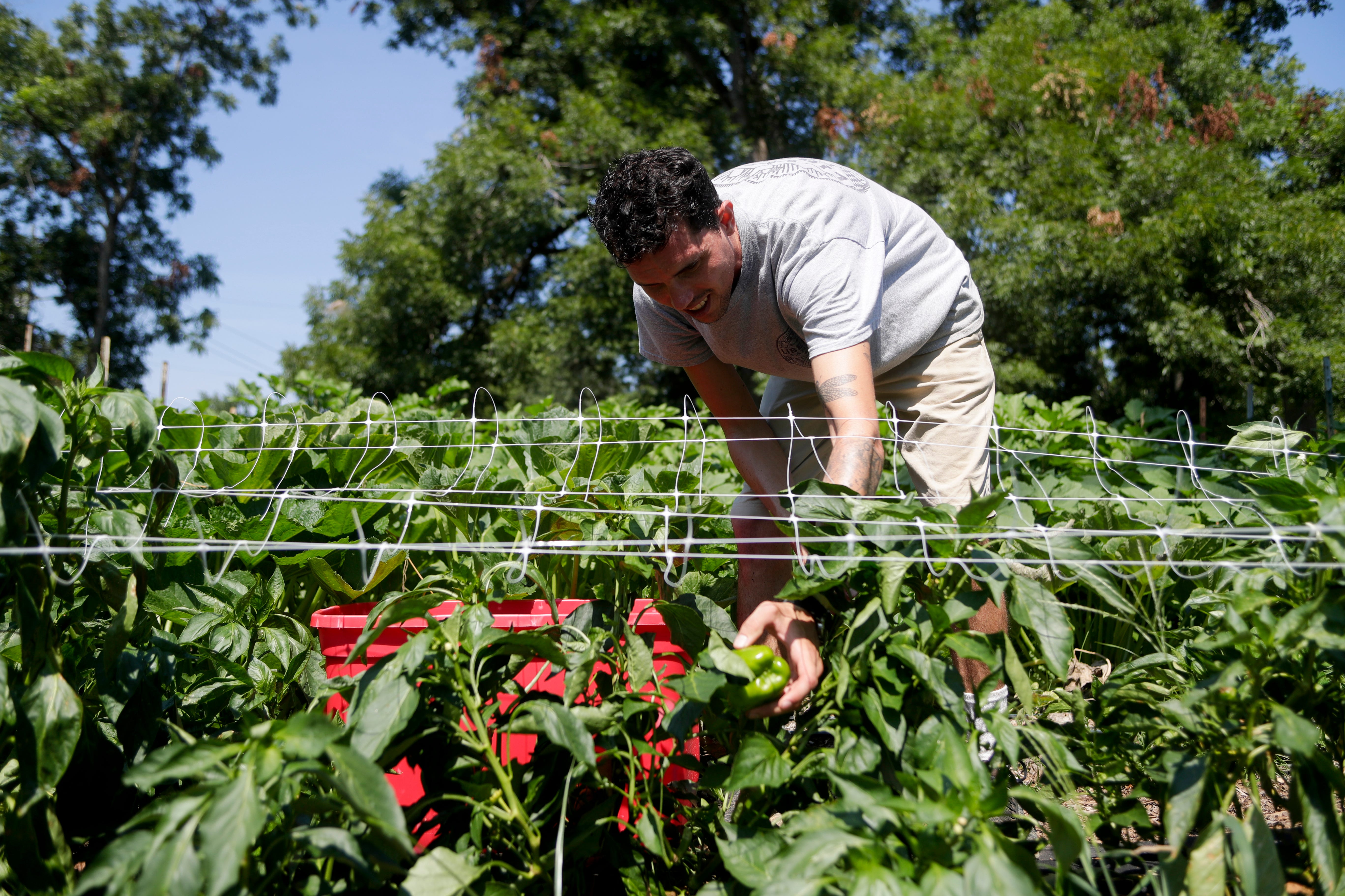 Uf Ifas To Explore How To Support Urban Farming Across Florida