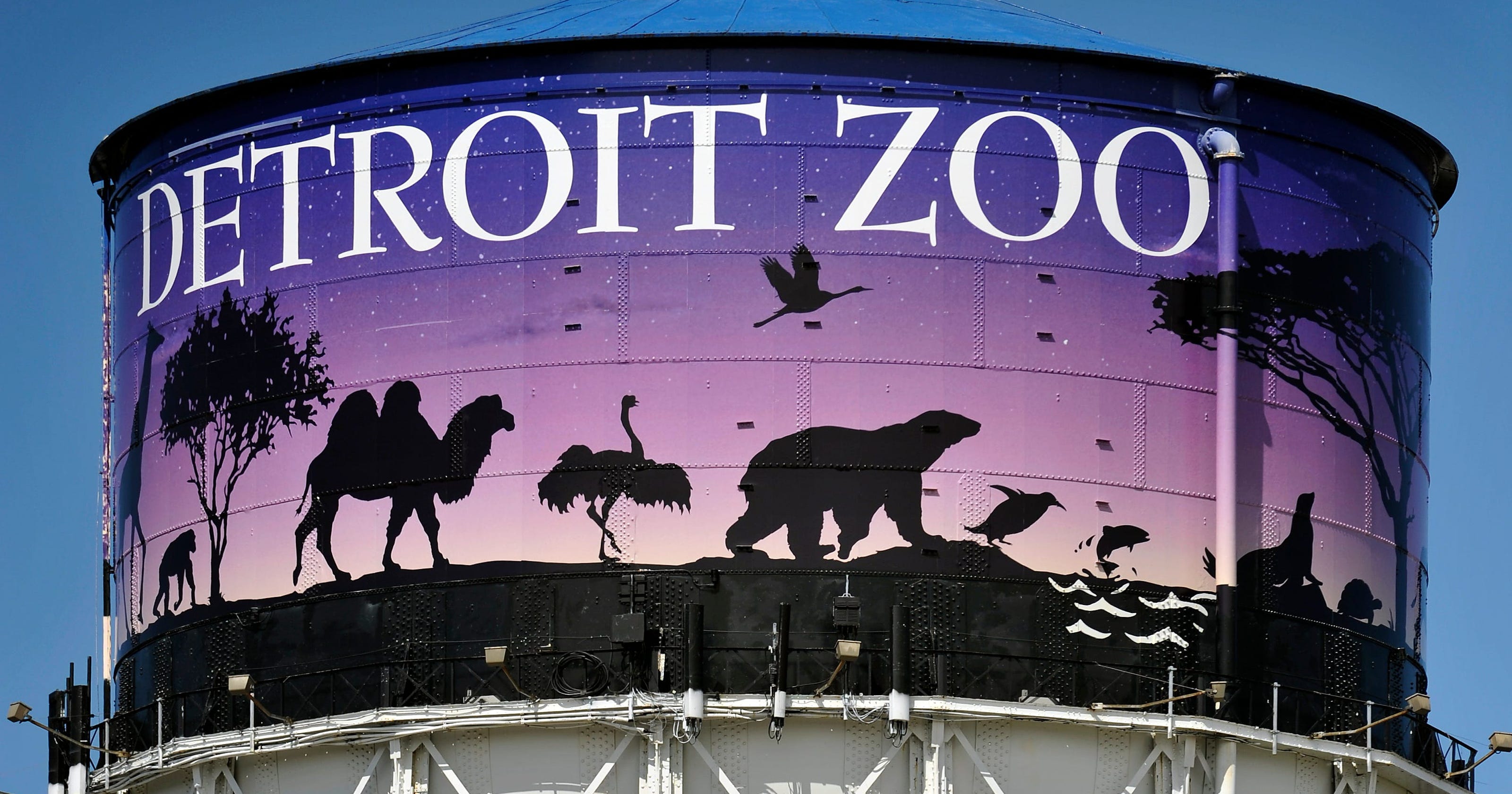 Detroit Zoo hosting work of renowned wildlife photographer