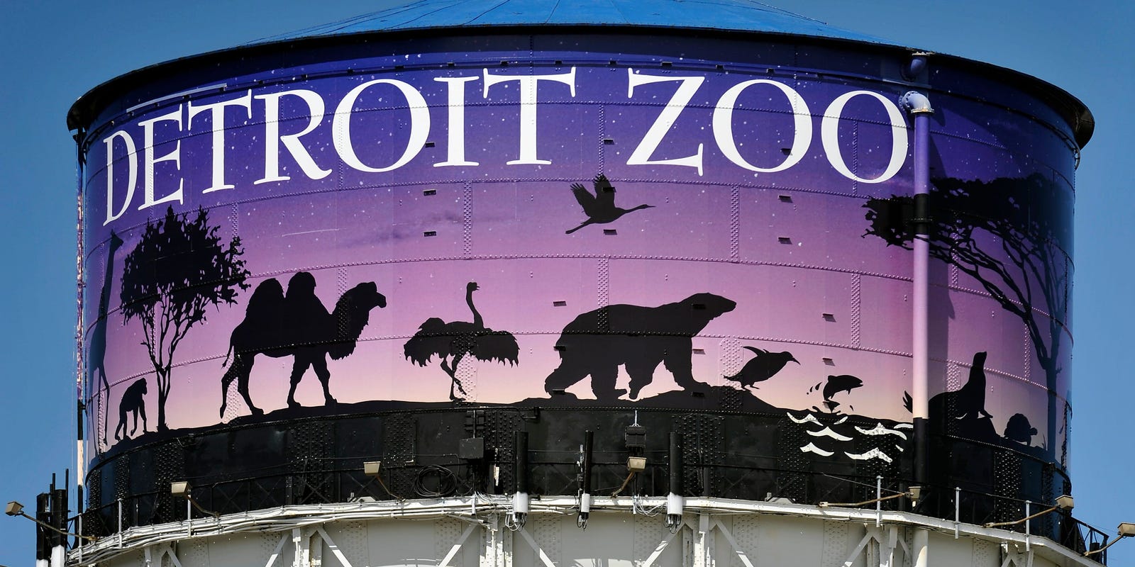 As everything seems to be closing, Detroit Zoo explains why it's still open