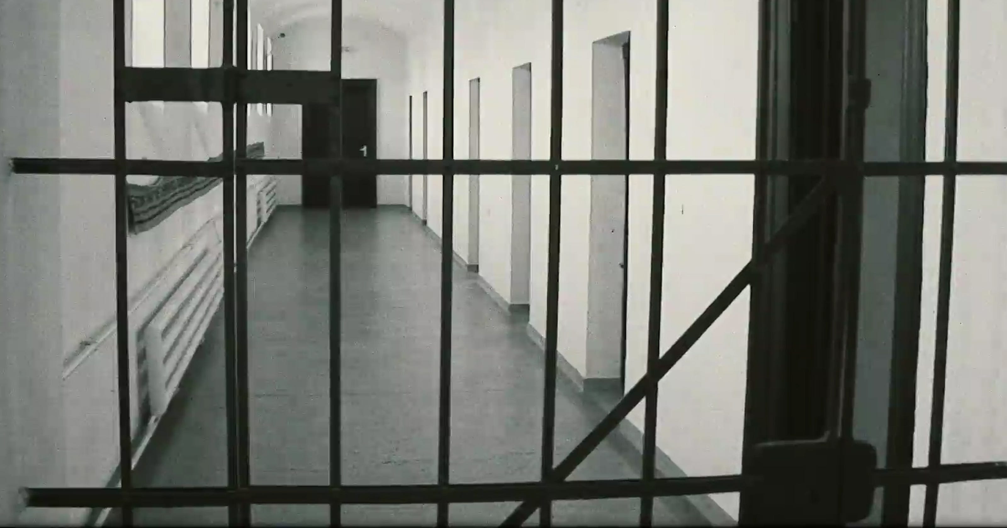 Florida Prison Inmate Search: The Untold Story - w6ftlw9