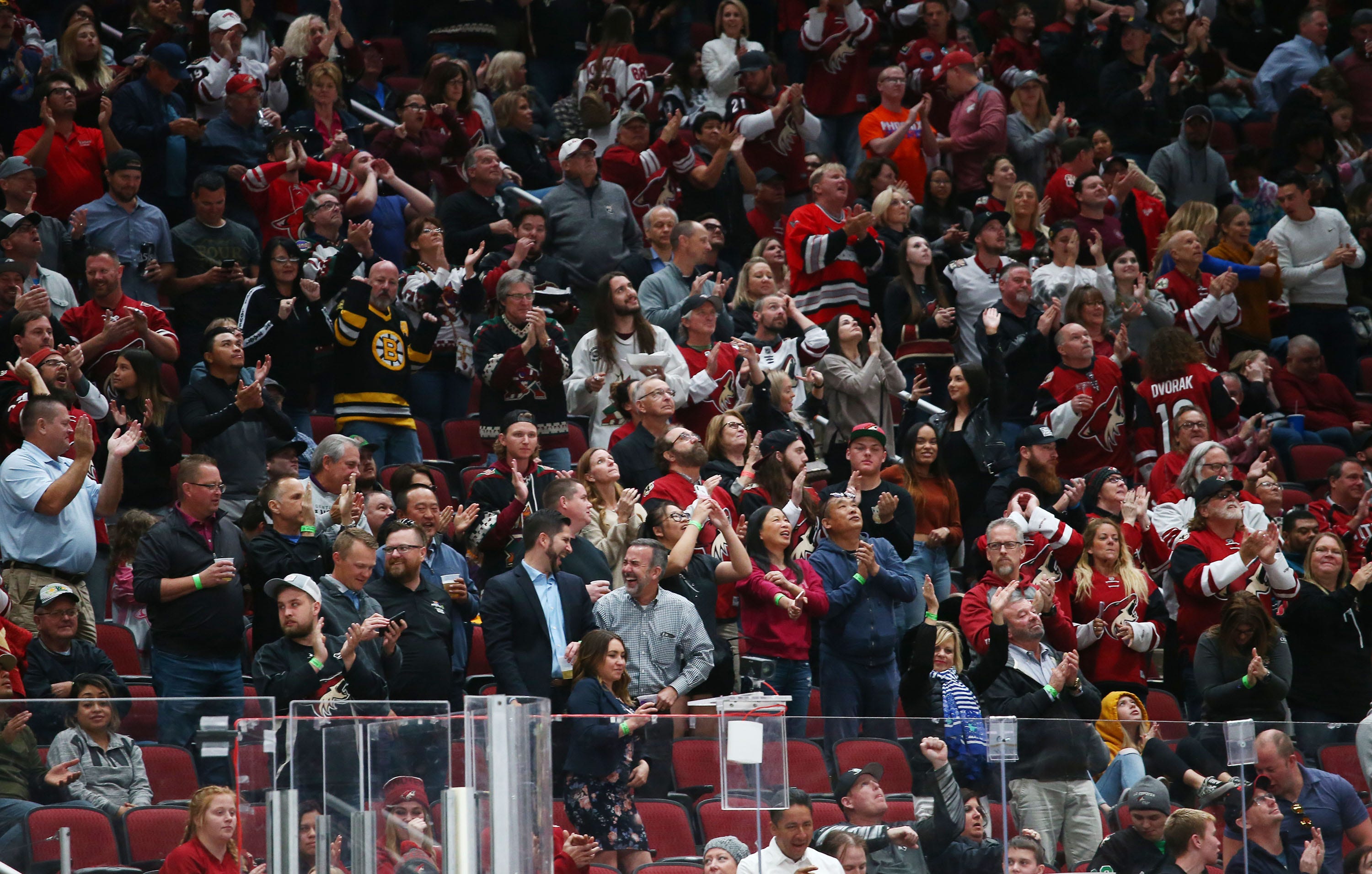 arizona coyotes fan shop