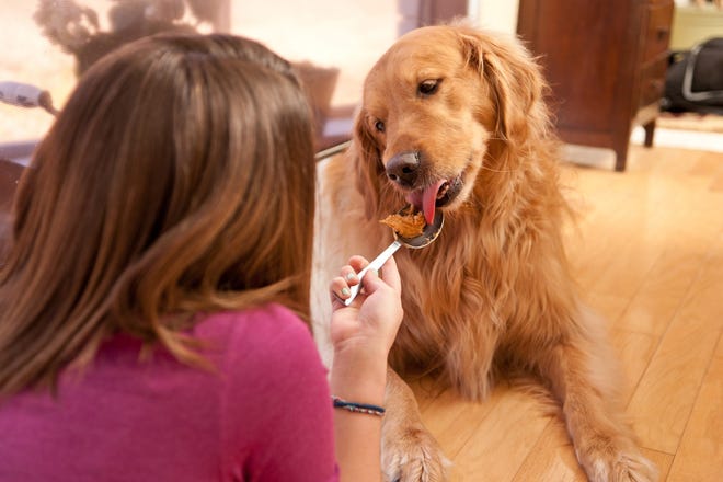 The Food and Drug Administration issued a consumer update Tuesday warning pet parents about the dangers of xylitol, a sugar substitute found in human foods such as nut butter and products such as chewing gum and mints.
