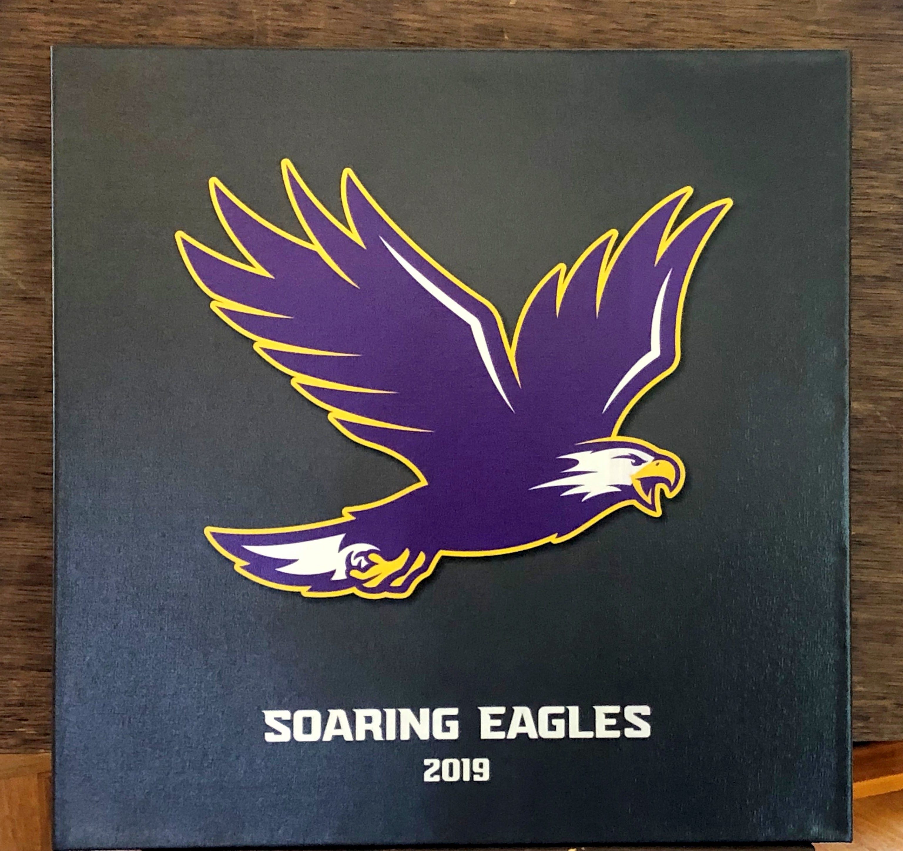 Elmira College Introduces New Soaring Eagles Logo