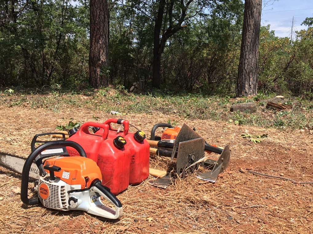 A fuels-reduction project along Highway 44 in eastern Shasta County is meant to make the roadside less susceptible to fire through brush clearing and tree thinning.