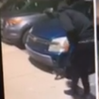 Cat Drop Kicked 2 Men Charged With Killing Animal In Lansing