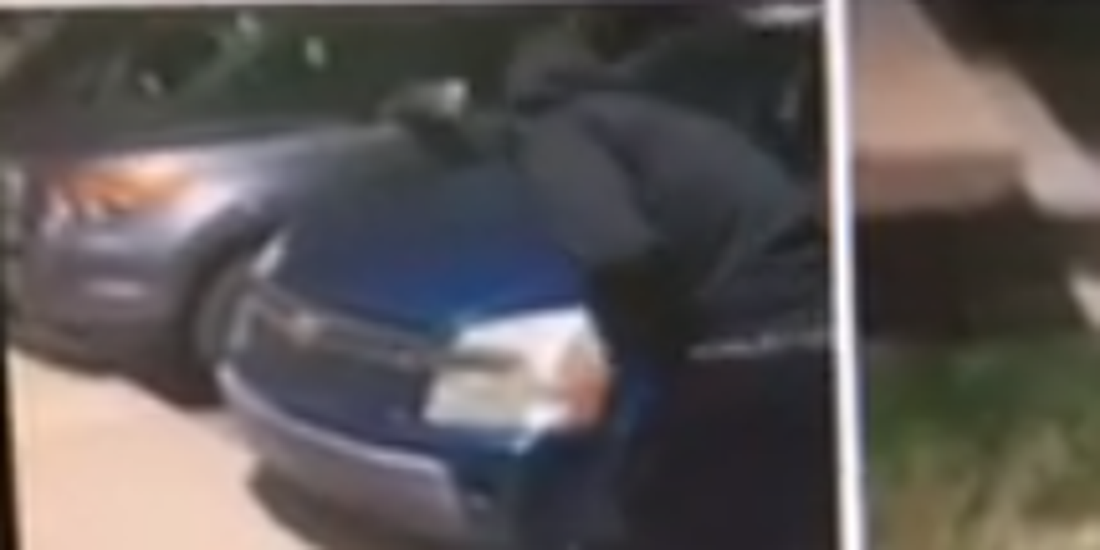 Cat Drop Kicked 2 Men Charged With Killing Animal In Lansing
