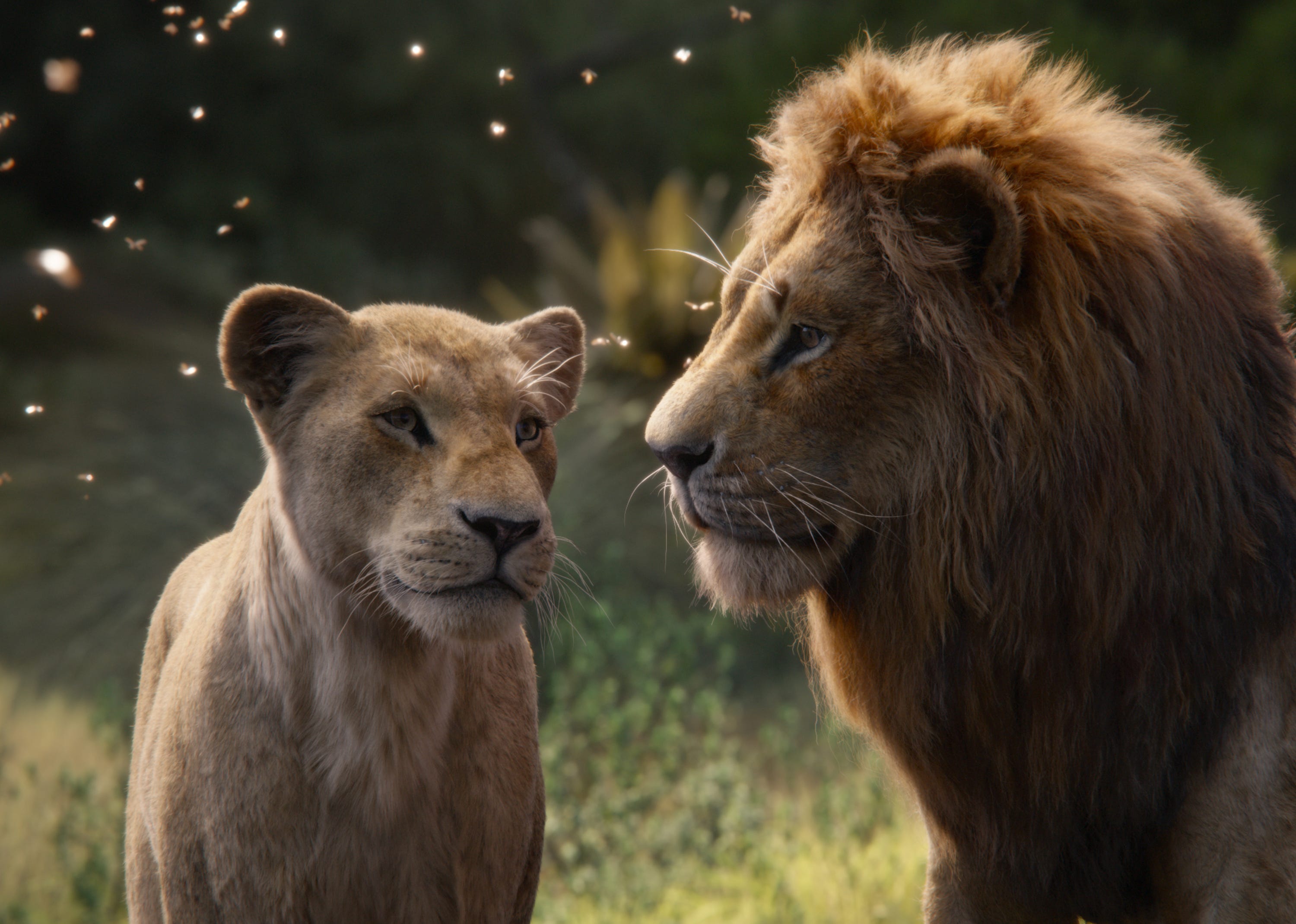 The Lion King Reviews How Beyonce S Nala Is Faring With Critics