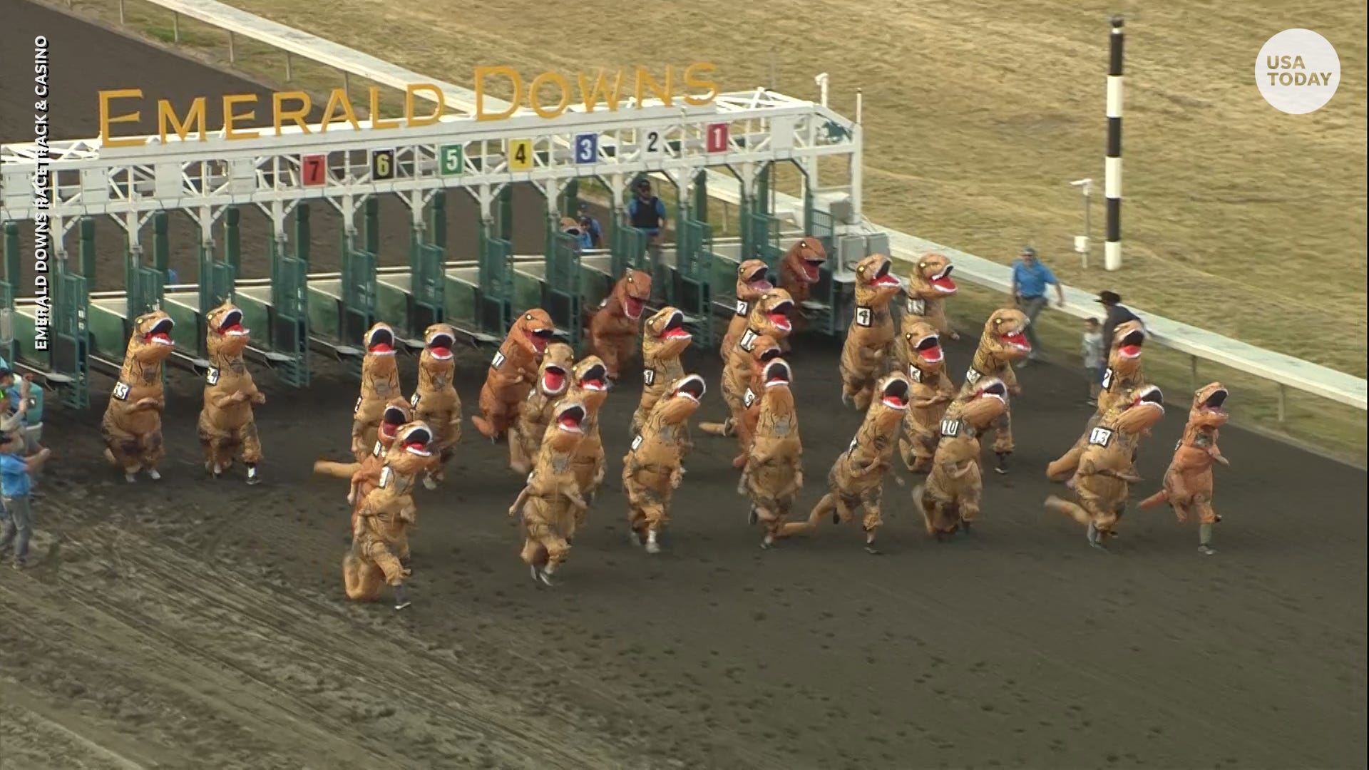 trex racing