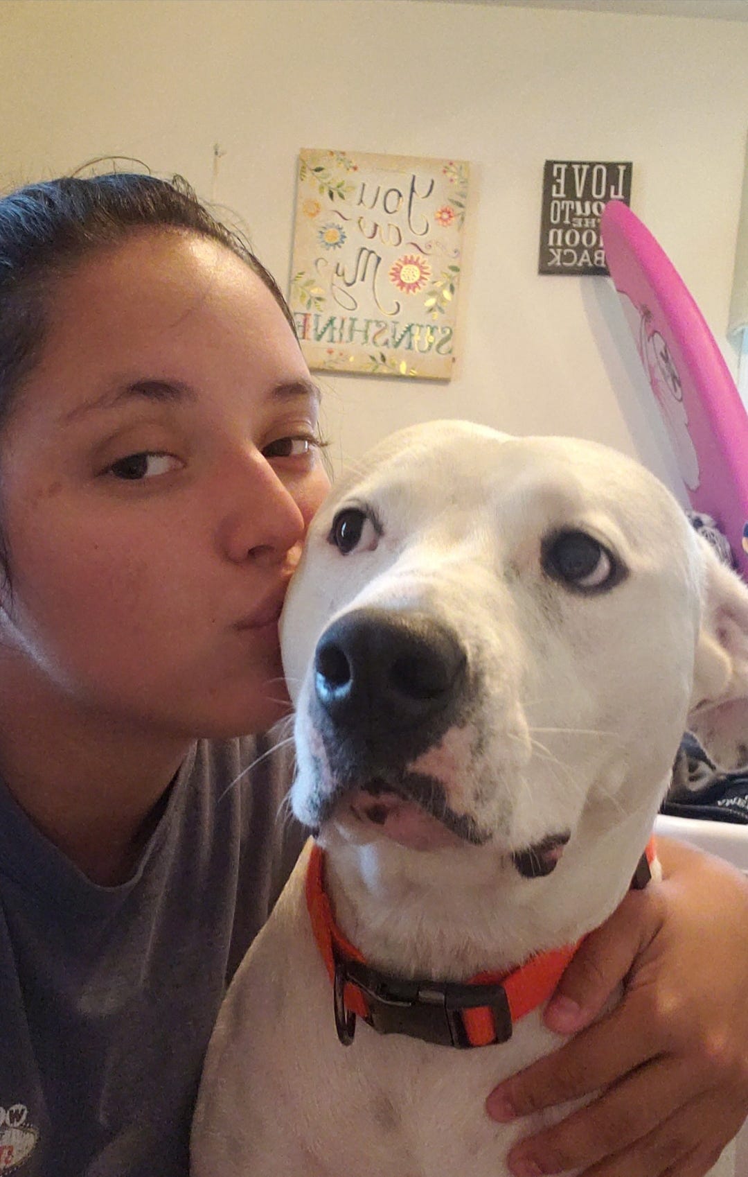 Dog rape woman