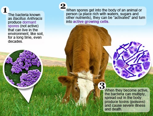 Owners of livestock and animals displaying symptoms consistent with anthrax or experiencing death of animals should contact a private veterinary practitioner or a Texas Animal Health Commission official.