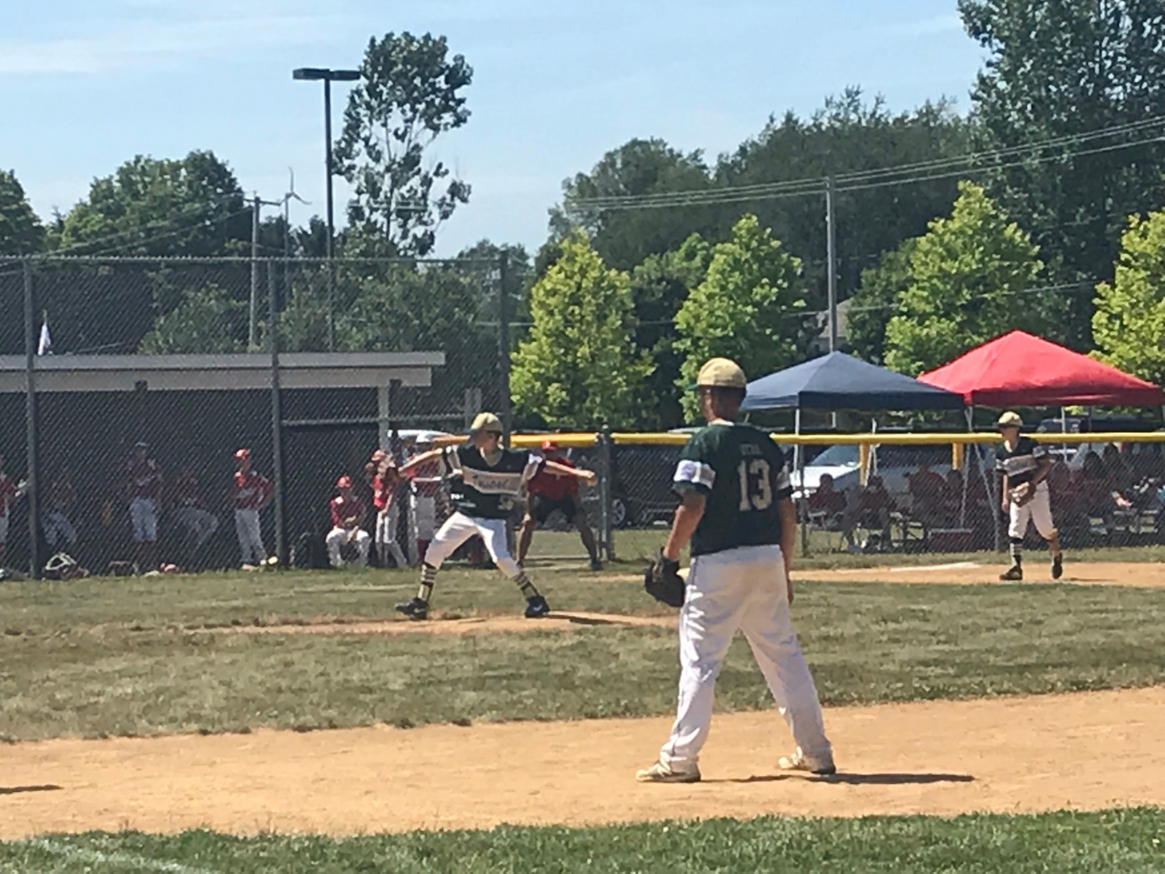 Vestal Little Leaguers open sectionals with victory