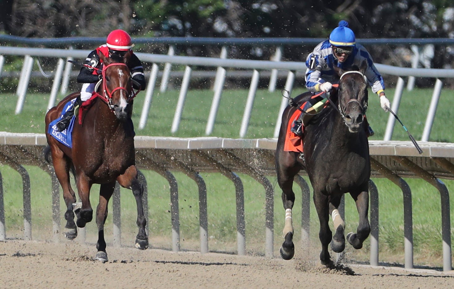 Elate repeats with second straight victory in Delaware Handicap