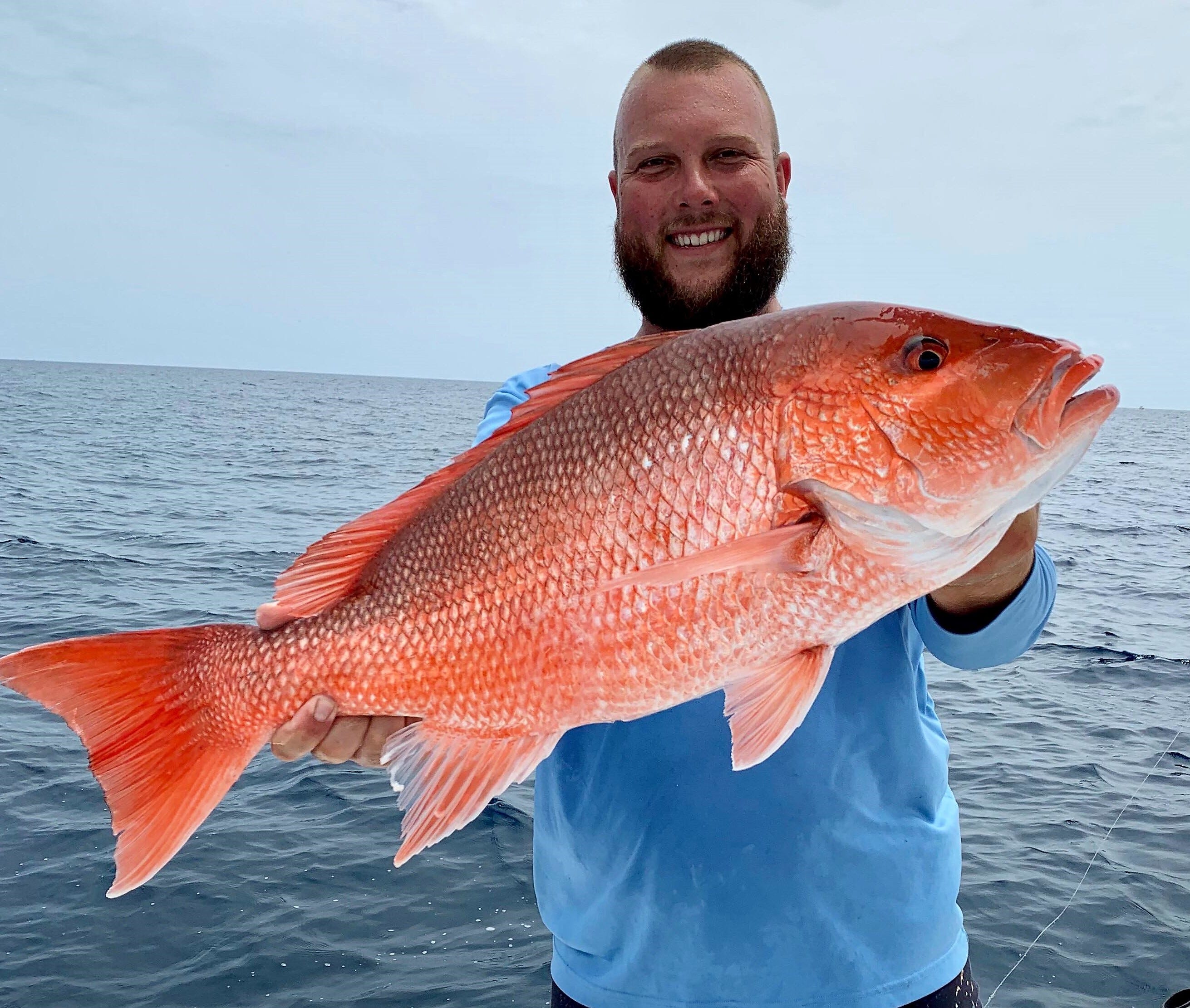 Red snapper vs vermilion snapper