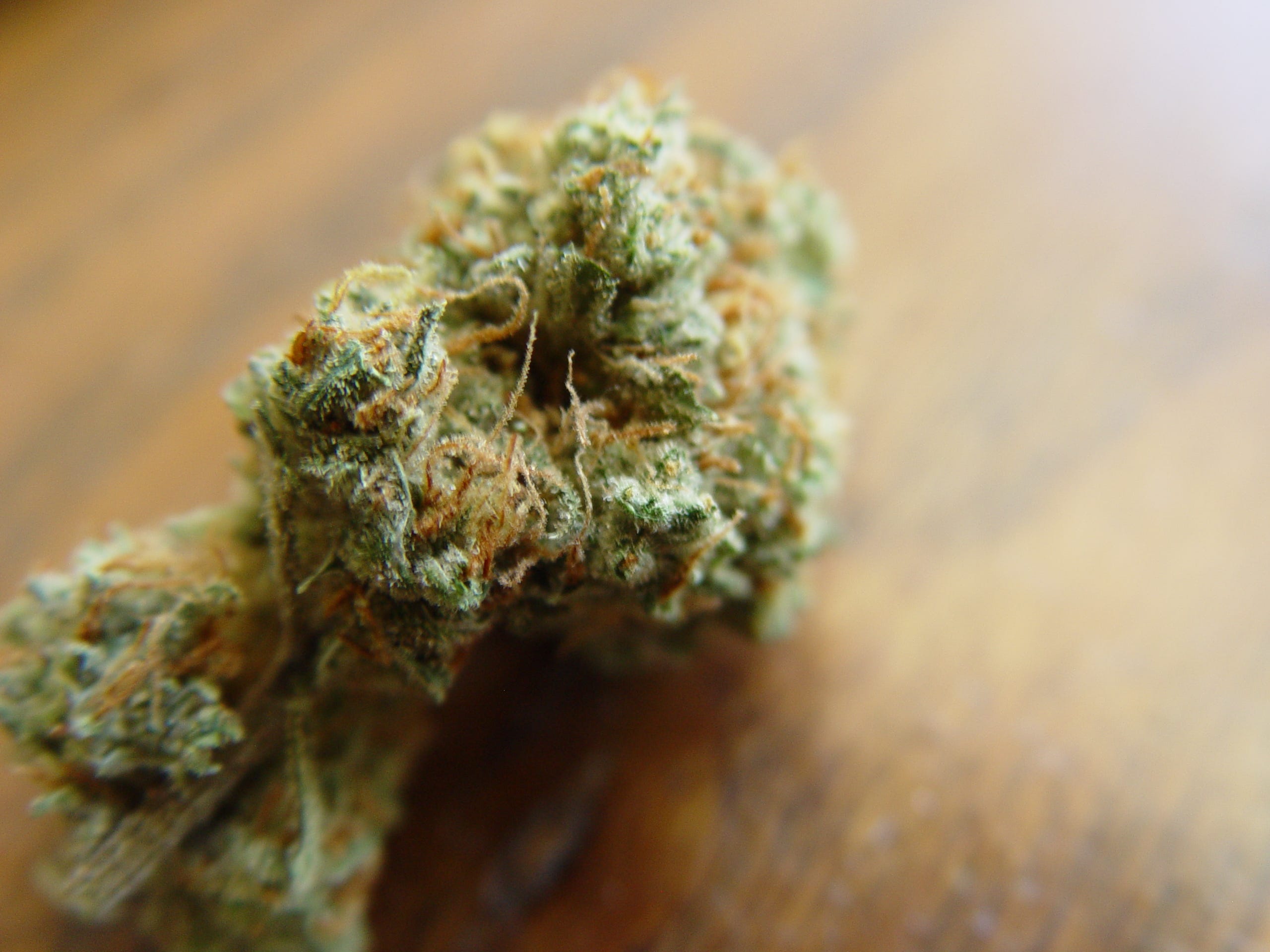 California consumer's guide to retail cannabis: Getting the good weed
