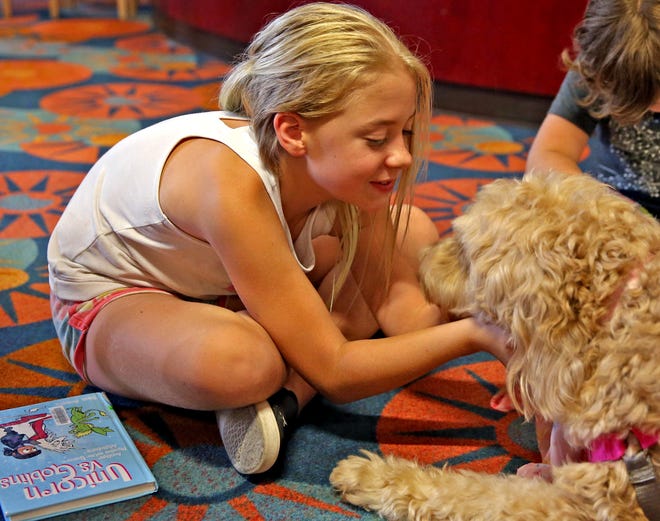 Eleanor Perkins plays with Hattie as part of the Tail Waggin Tutors program at Stephens Central Library on Tuesday, July 16, 2019.
