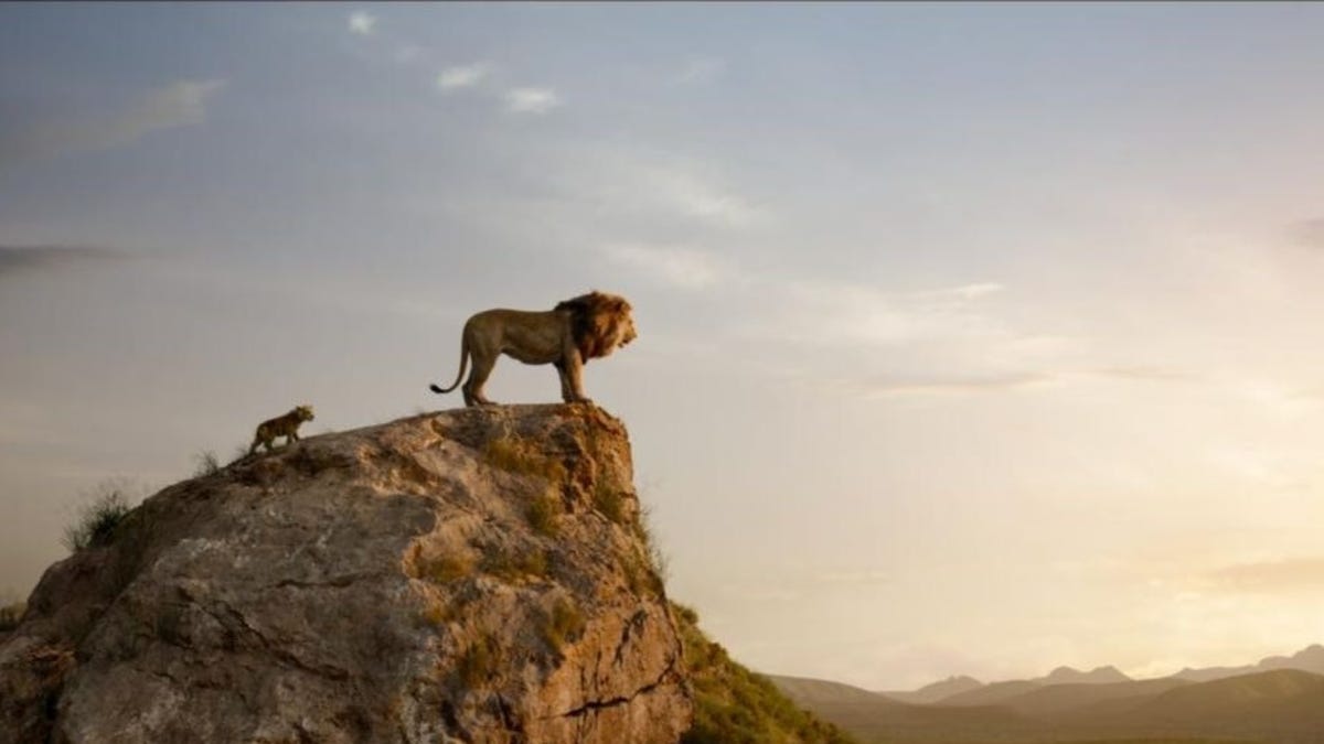 The Lion King Remake Left You With Many Questions We Have Answers