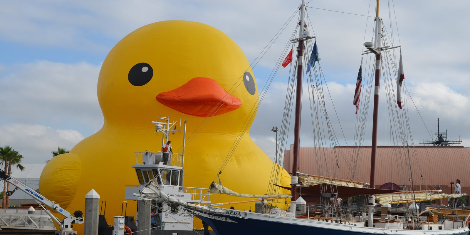 World S Largest Rubber Duck Everything You Wanted To Know About Selfie Star World S Largest Rubber Duck Everything You Wanted To Know About Selfie Star