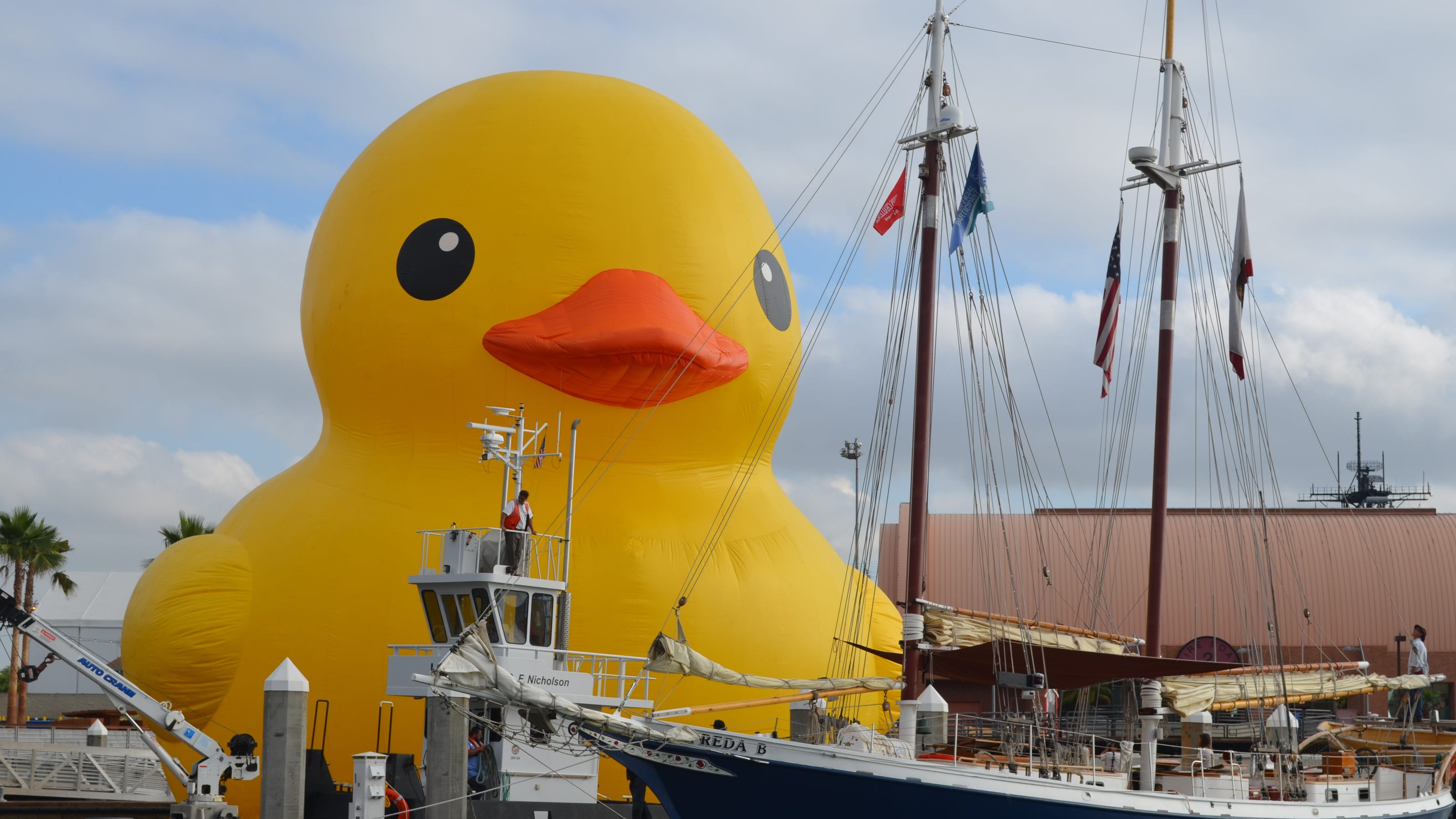 Worlds Largest Rubber Duck 2025