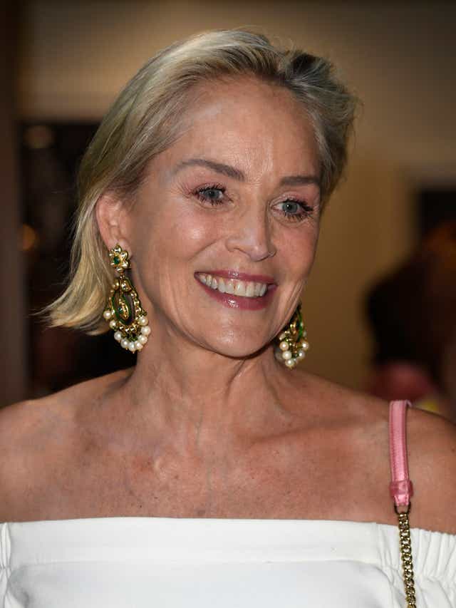 Sharon Stone S Stroke Impaled Her Career After Nine Day Brain Bleed