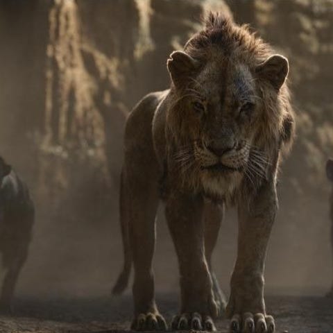 You don't have to be king, if you can be Scar.