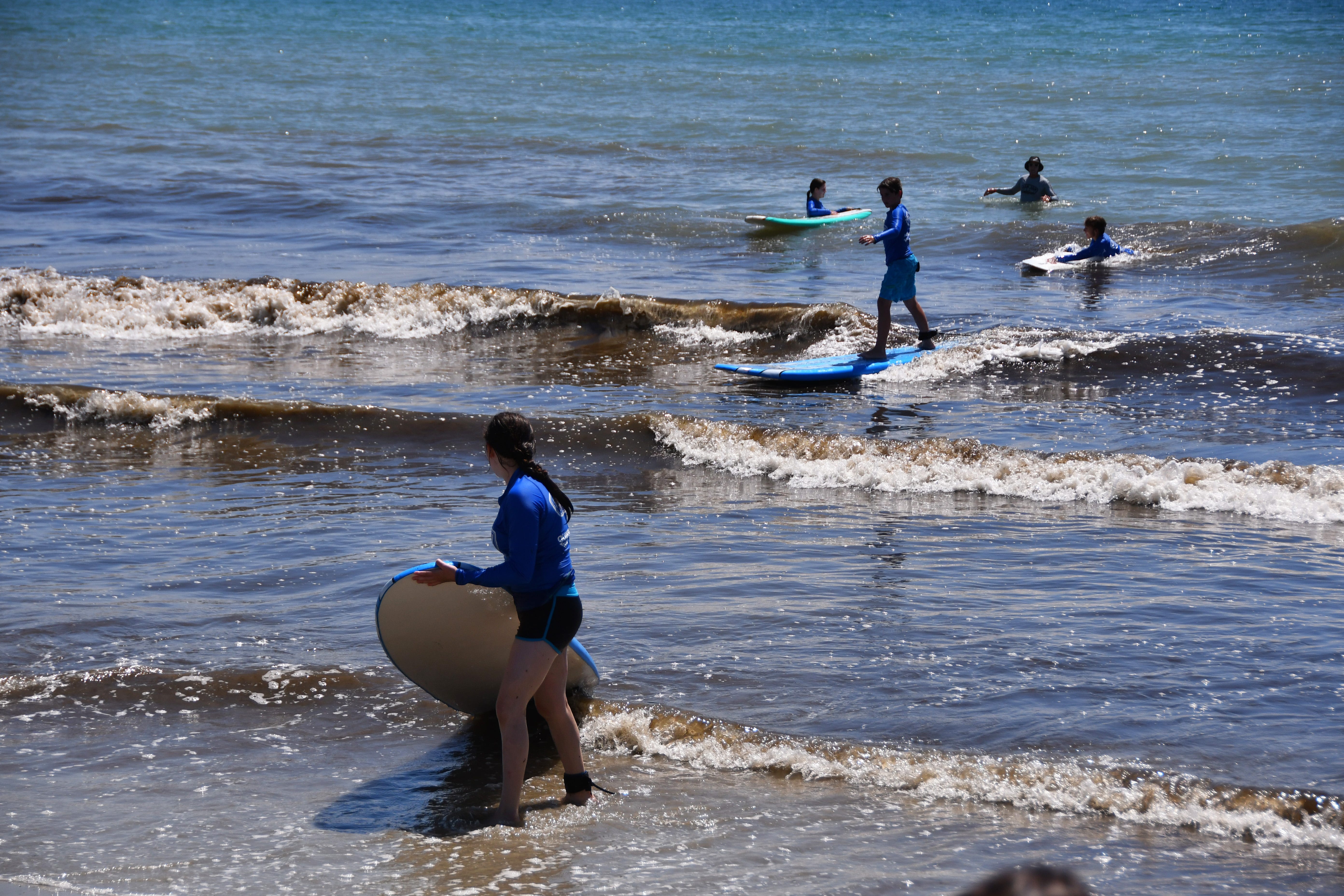 Brown algae strikes Cocoa Beach; bluegreen algae at Lake Washington