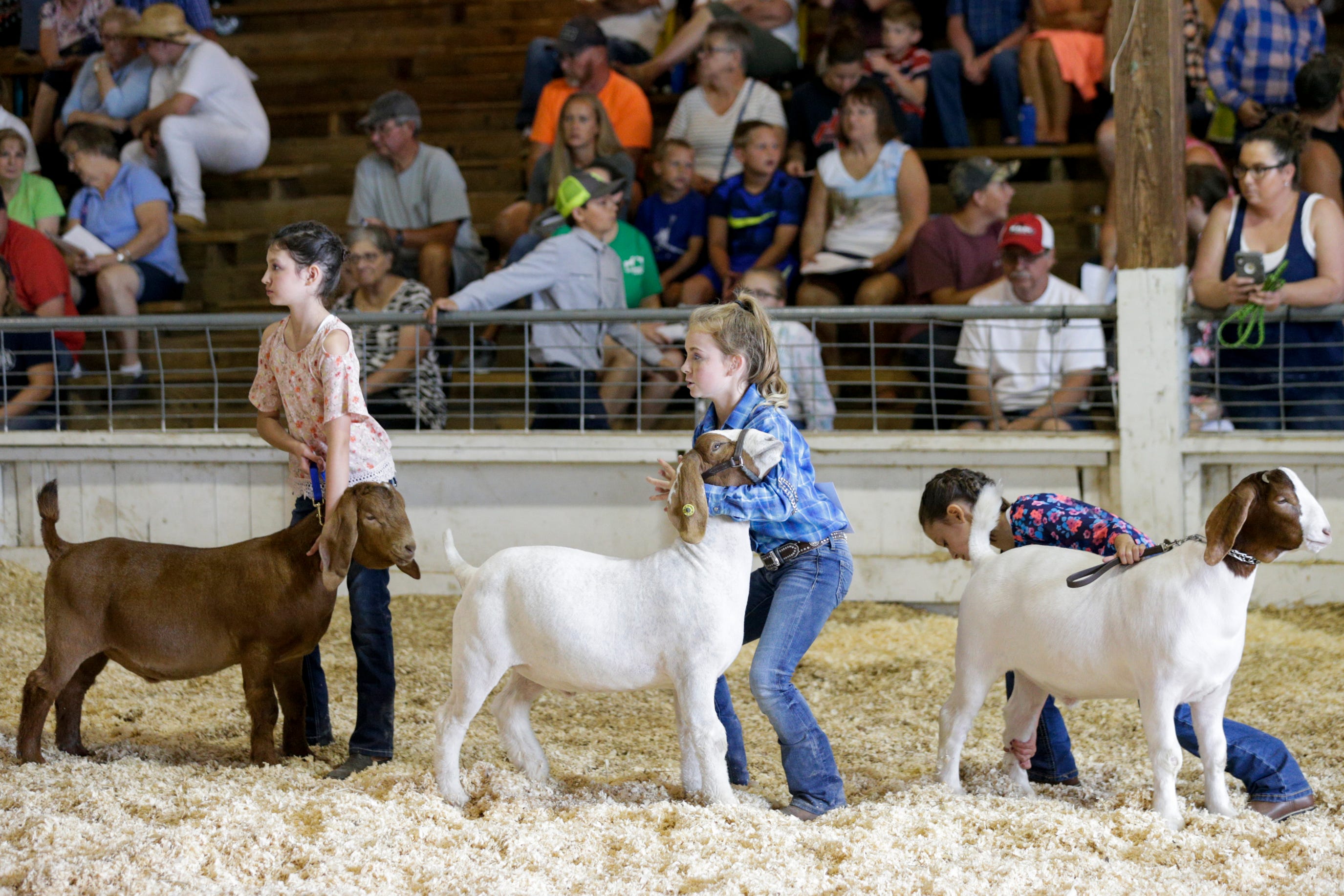Tippecanoe County Fair 4H schedule