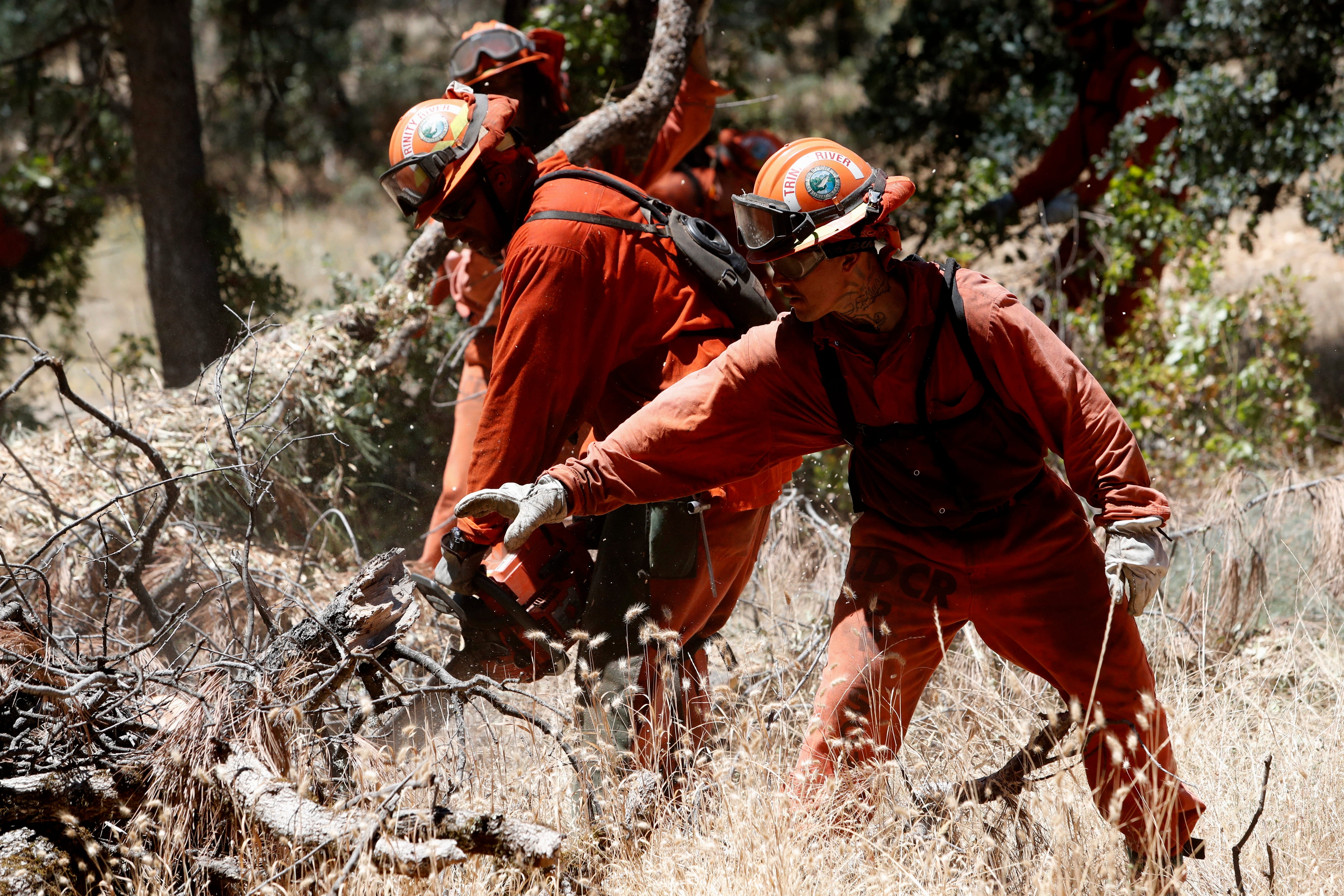 Trinity River Conservation Camp inmates use a chainsaw to thin vegetation on Bureau of Land Management property off Simmons Road in July 2019.