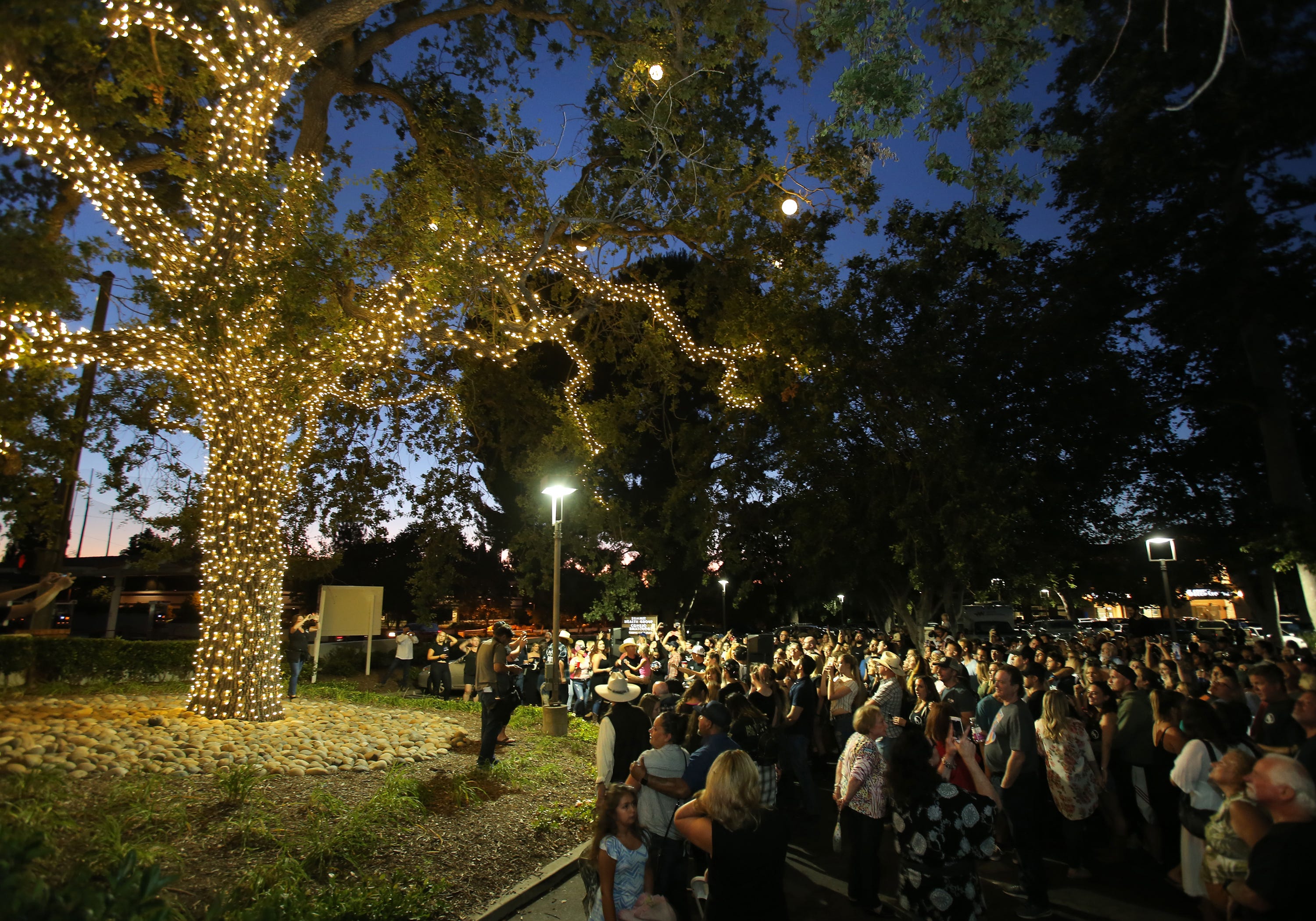 Borderline shooting victims remembered with tree lighting event