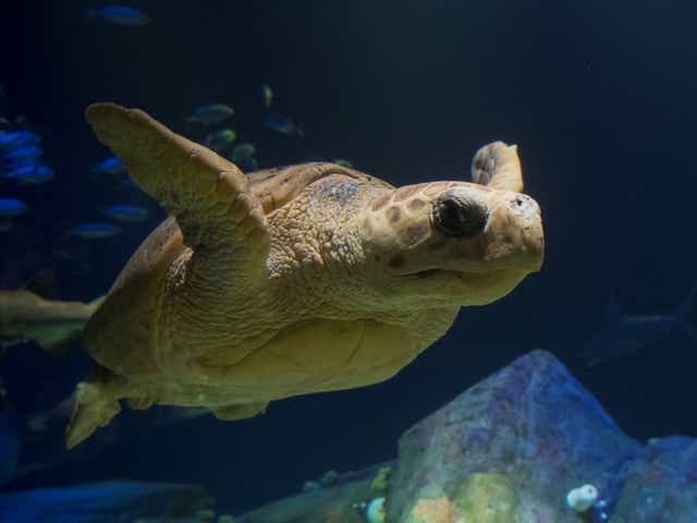 zoos aquariums new jersey new york