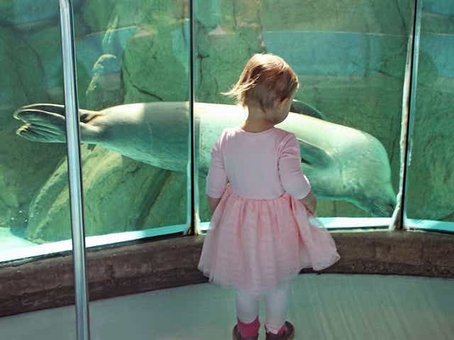 zoos aquariums new jersey new york