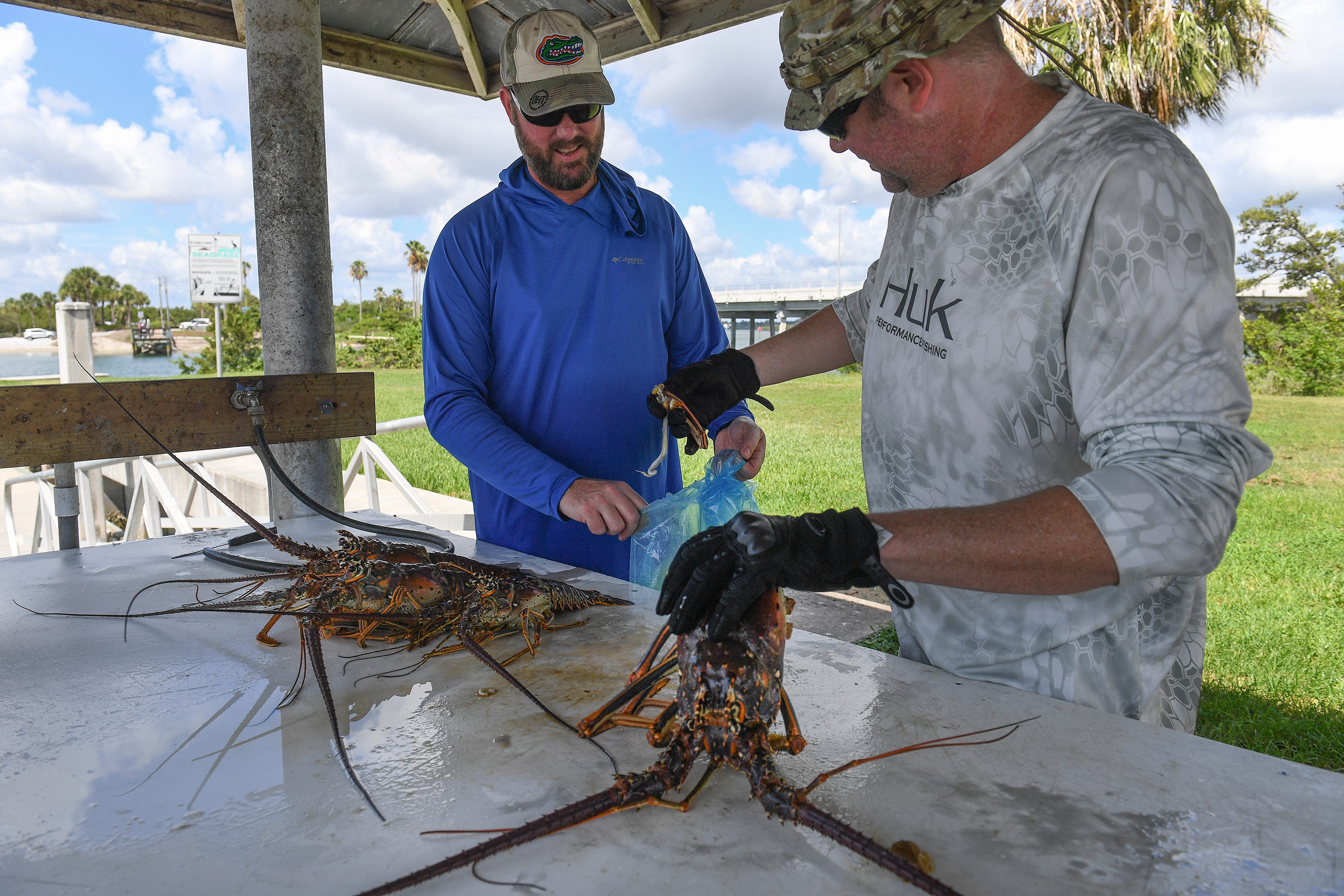 Lobster miniseason runs July 2425
