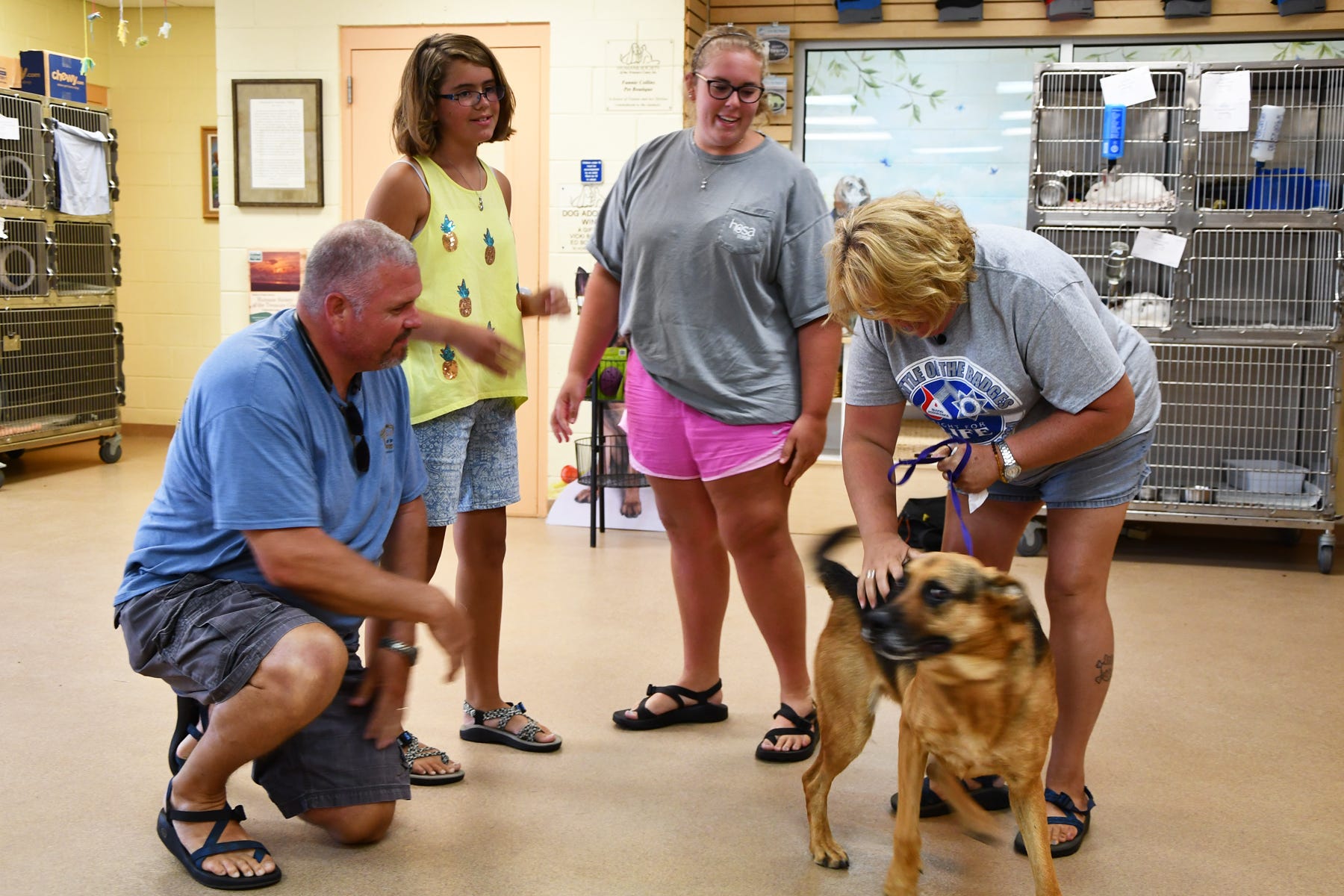 treasure coast humane society dogs