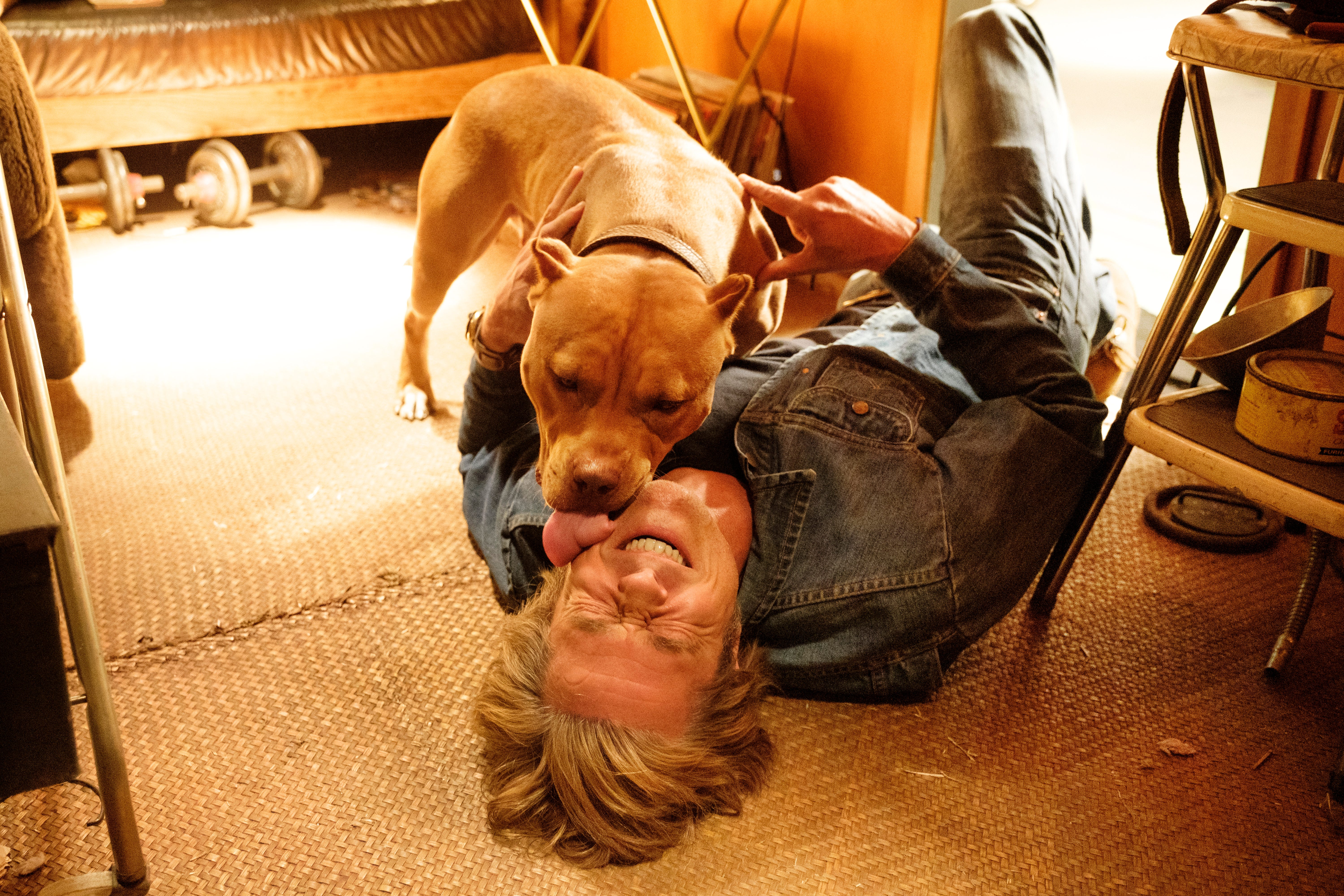 Once Upon A Time In Hollywood Brad Pitt S Cute Dog Steals The Movie