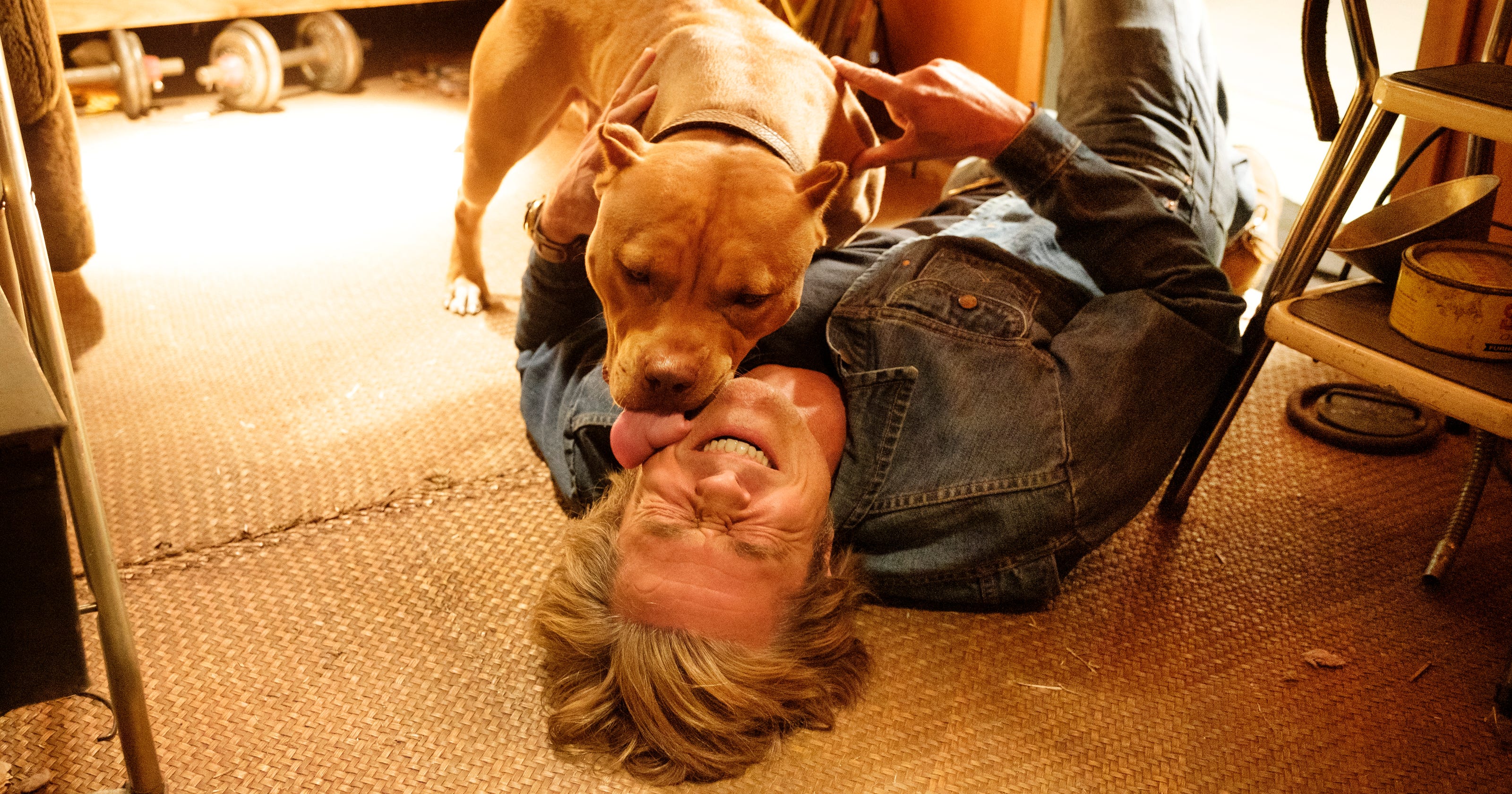 Once Upon A Time In Hollywood Brad Pitt S Cute Dog Steals The Movie