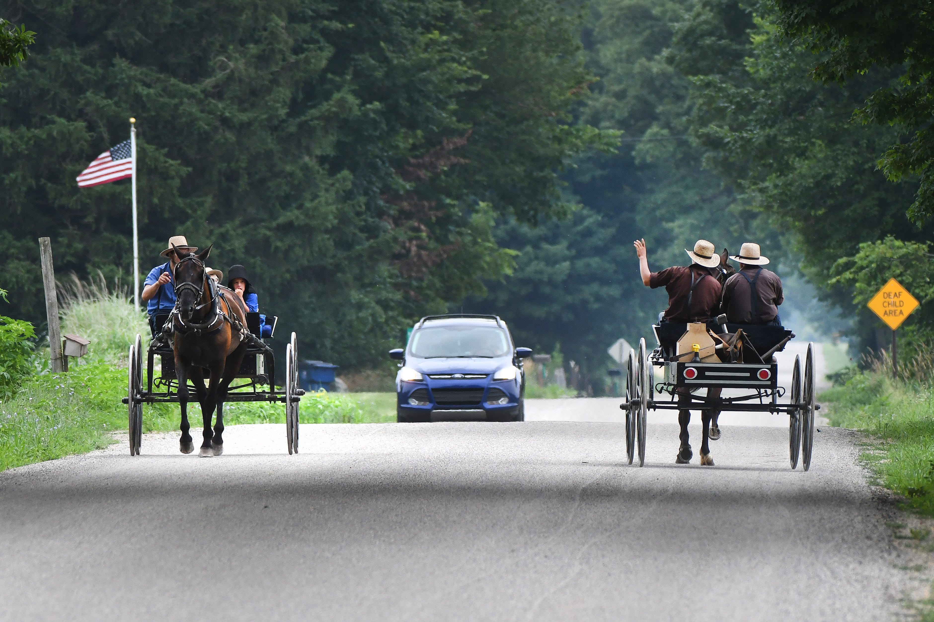 which buggies