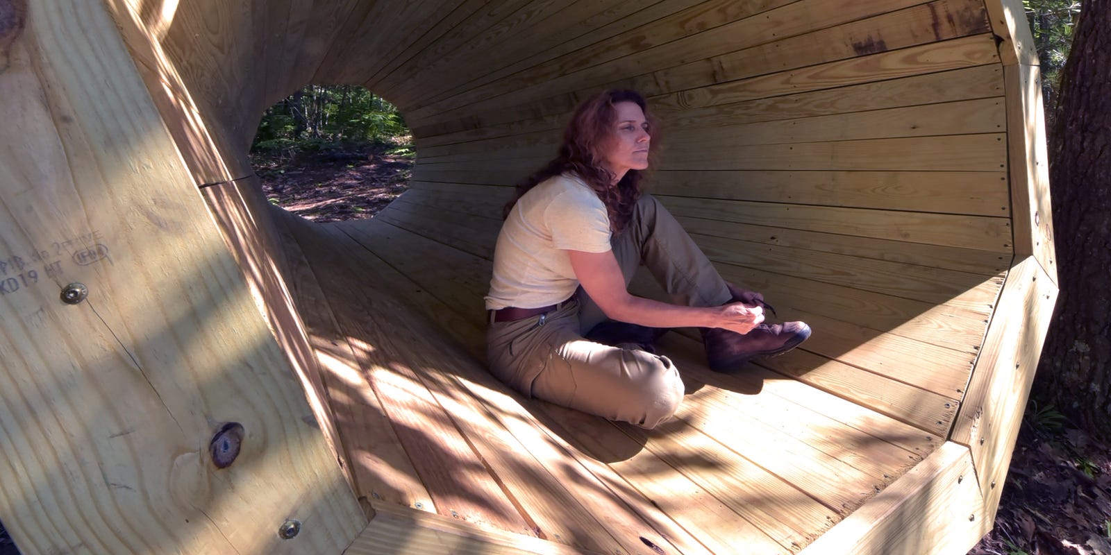 Nature S Megaphone Helps Bring Northern Michigan Woods Alive