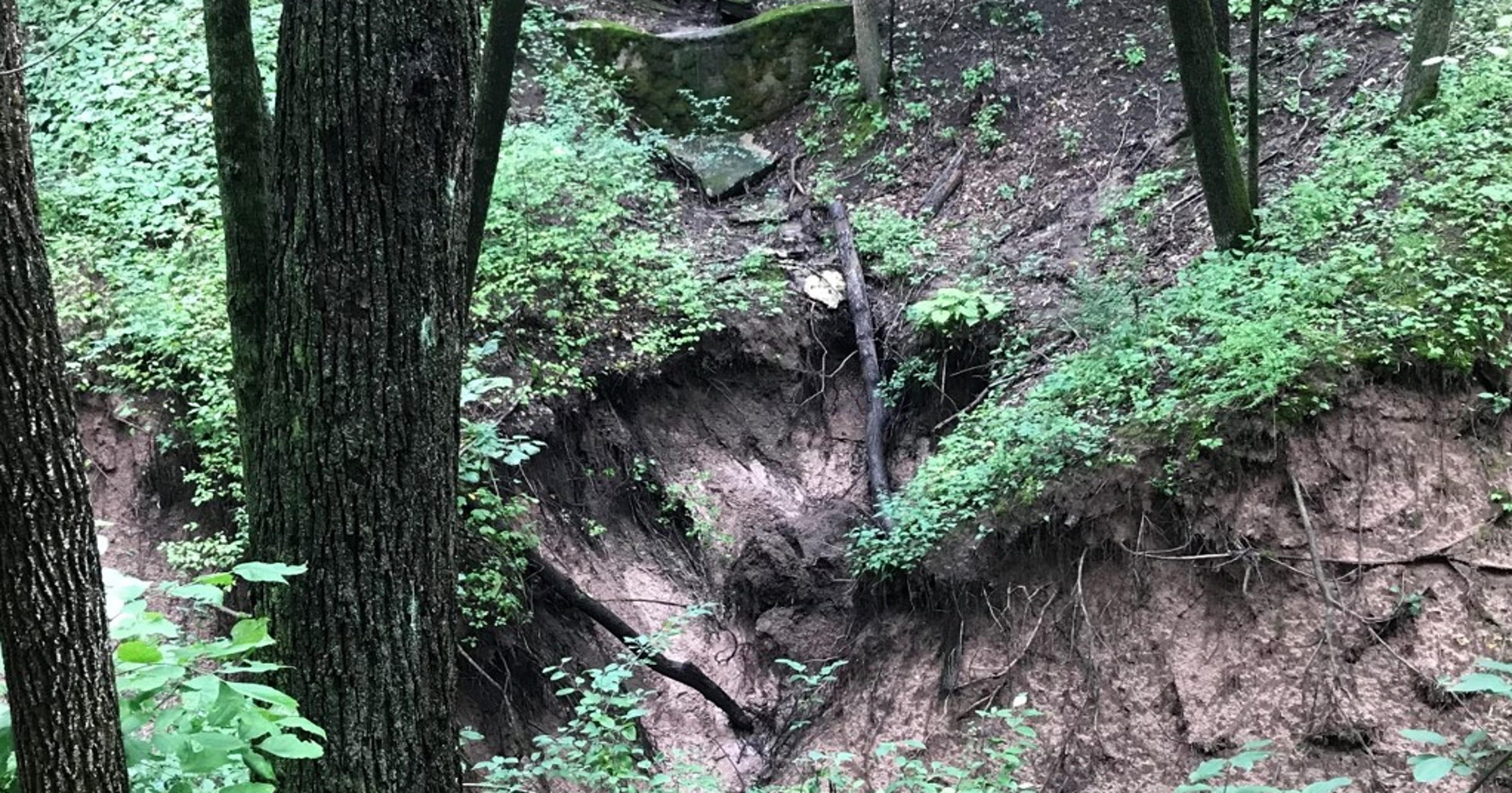 Schlitz Audubon Nature Center Takes On 500 000 Restoration