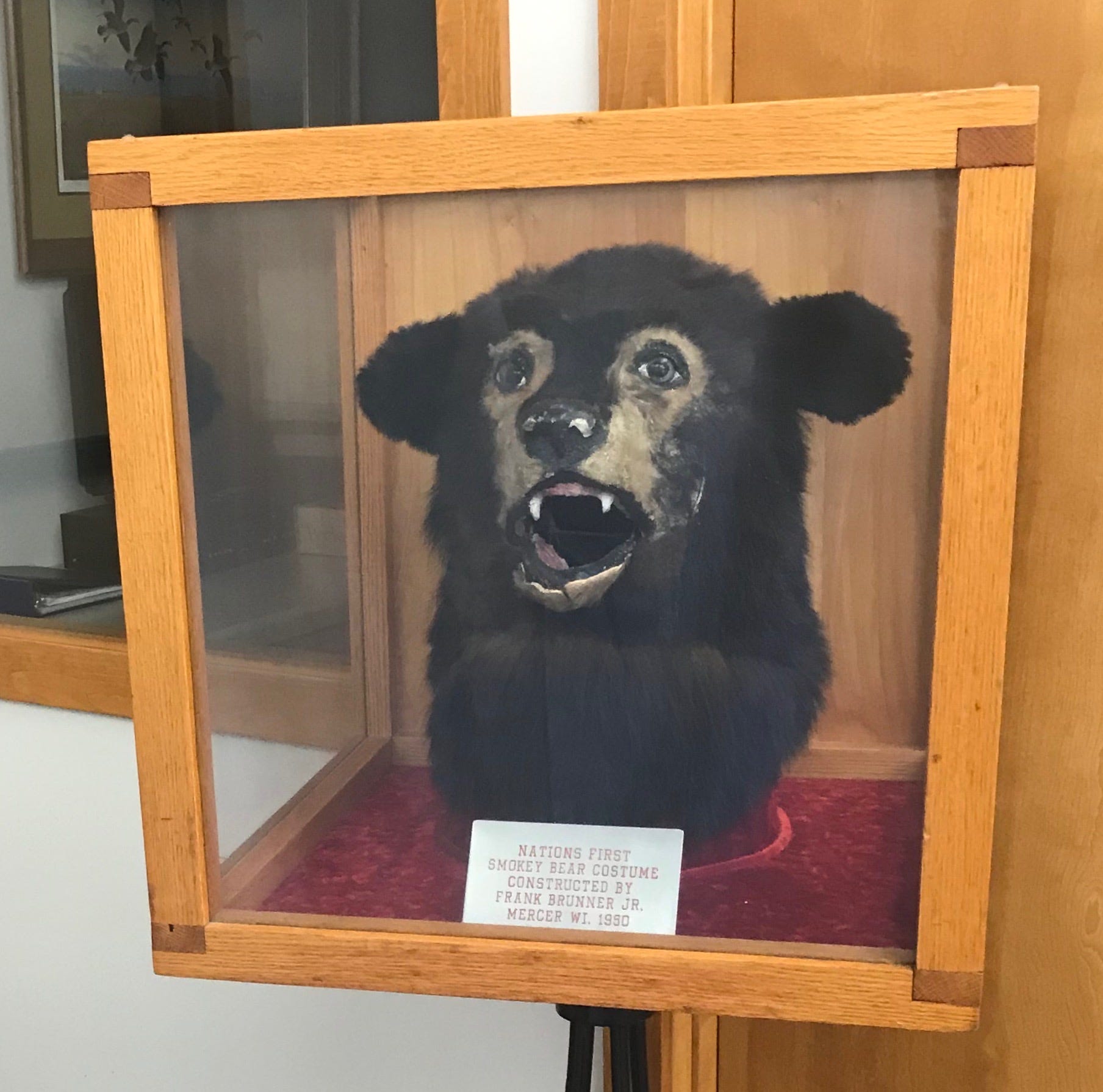 Smokey Bear's first costume was made in Mercer, and head is still there