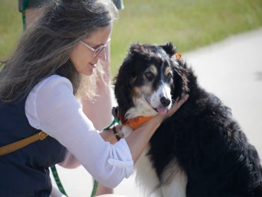 Linda Witt, of Oconto Falls, Wis., pets her English Shephard Butch while taking in the Two Rivers Brew Dash 5k run/walk, Saturday, July 27, 2019, in Two Rivers, Wis.