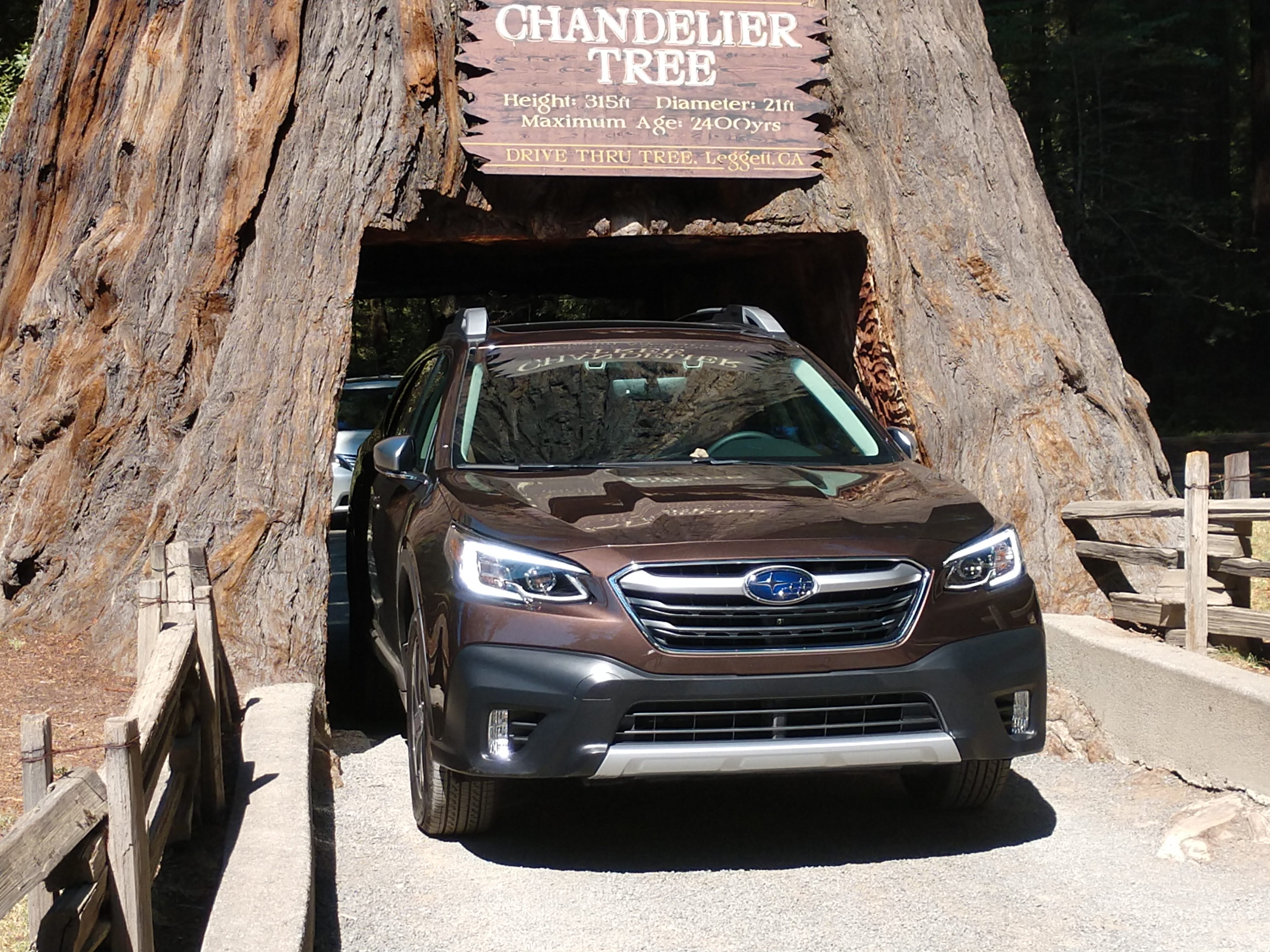 First Drive 2020 Subaru Outback Wins With Value Safety