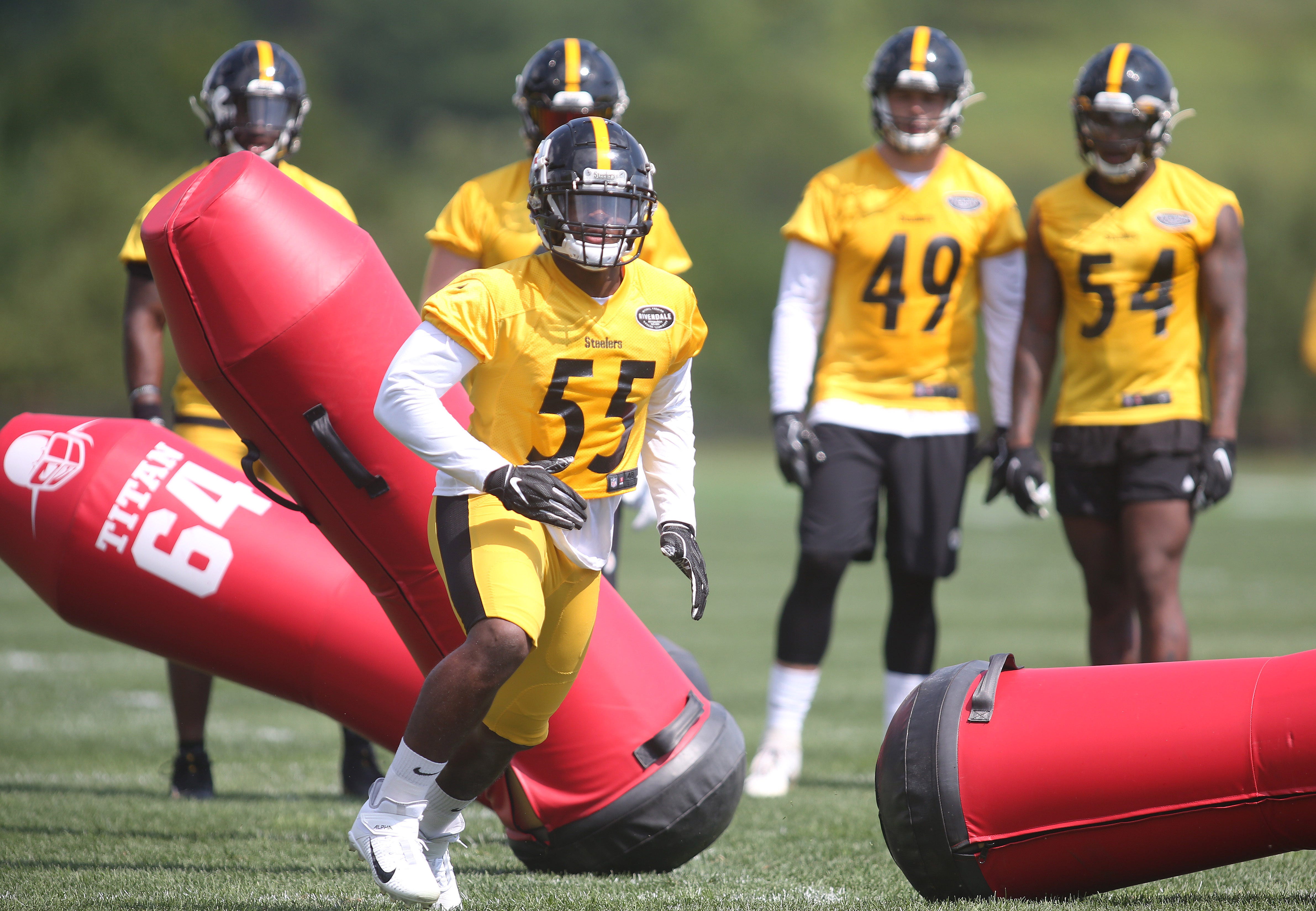Opinion: Pittsburgh Steelers' LB Devin Bush has more pressure than most NFL rookies to succeed