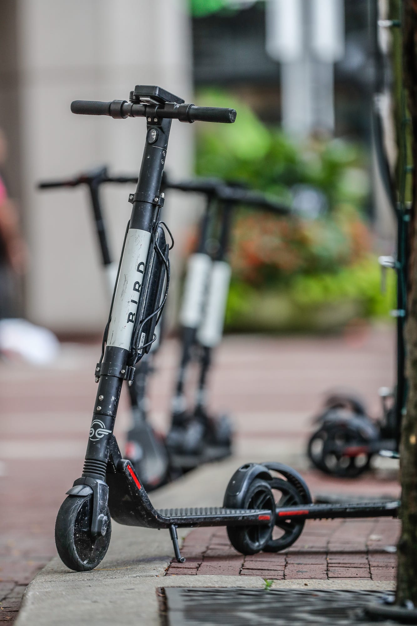 Reno escooters Scooter company Bird plans to bring them back to area