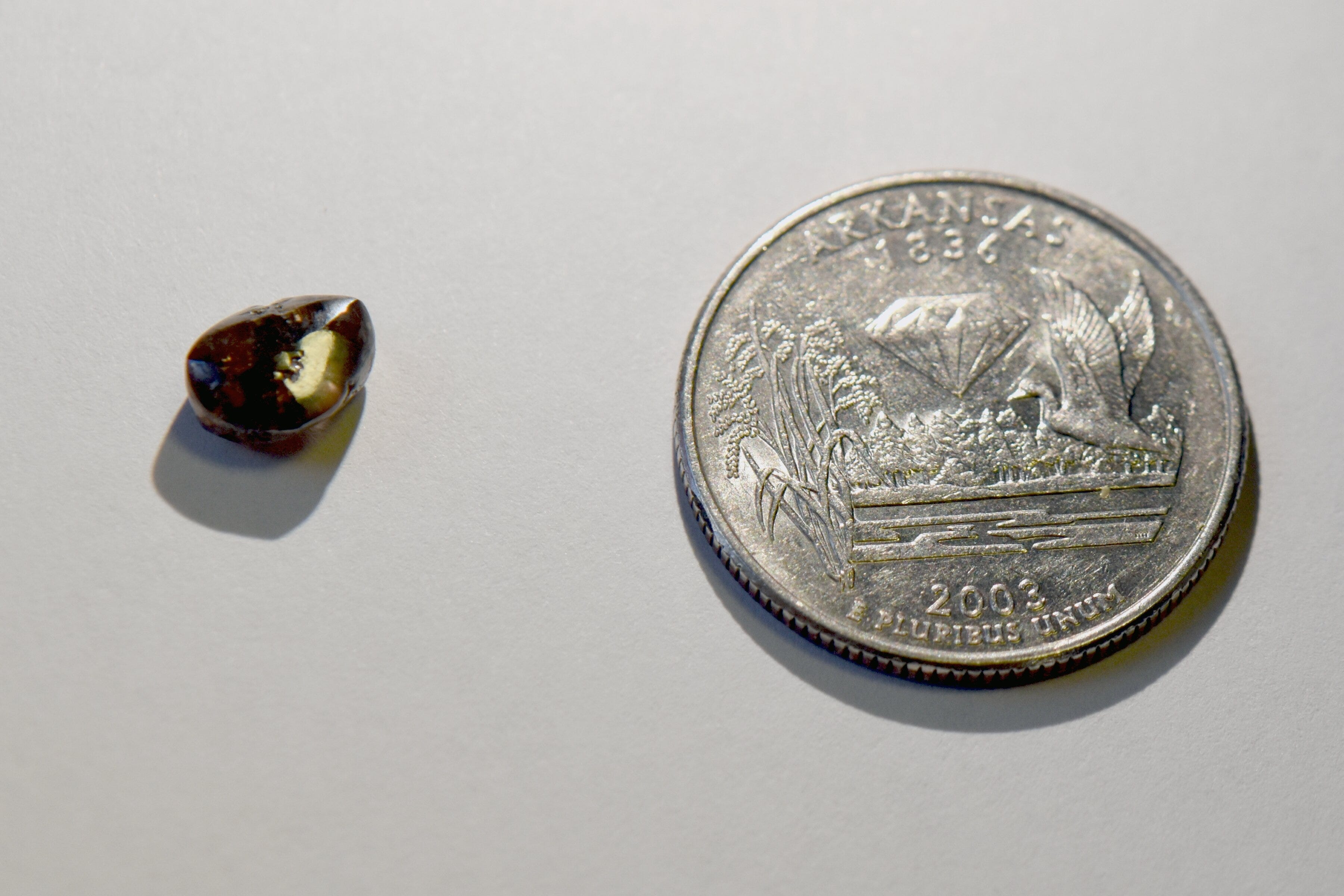 Teacher digs up largest diamond found in Arkansas state park this year